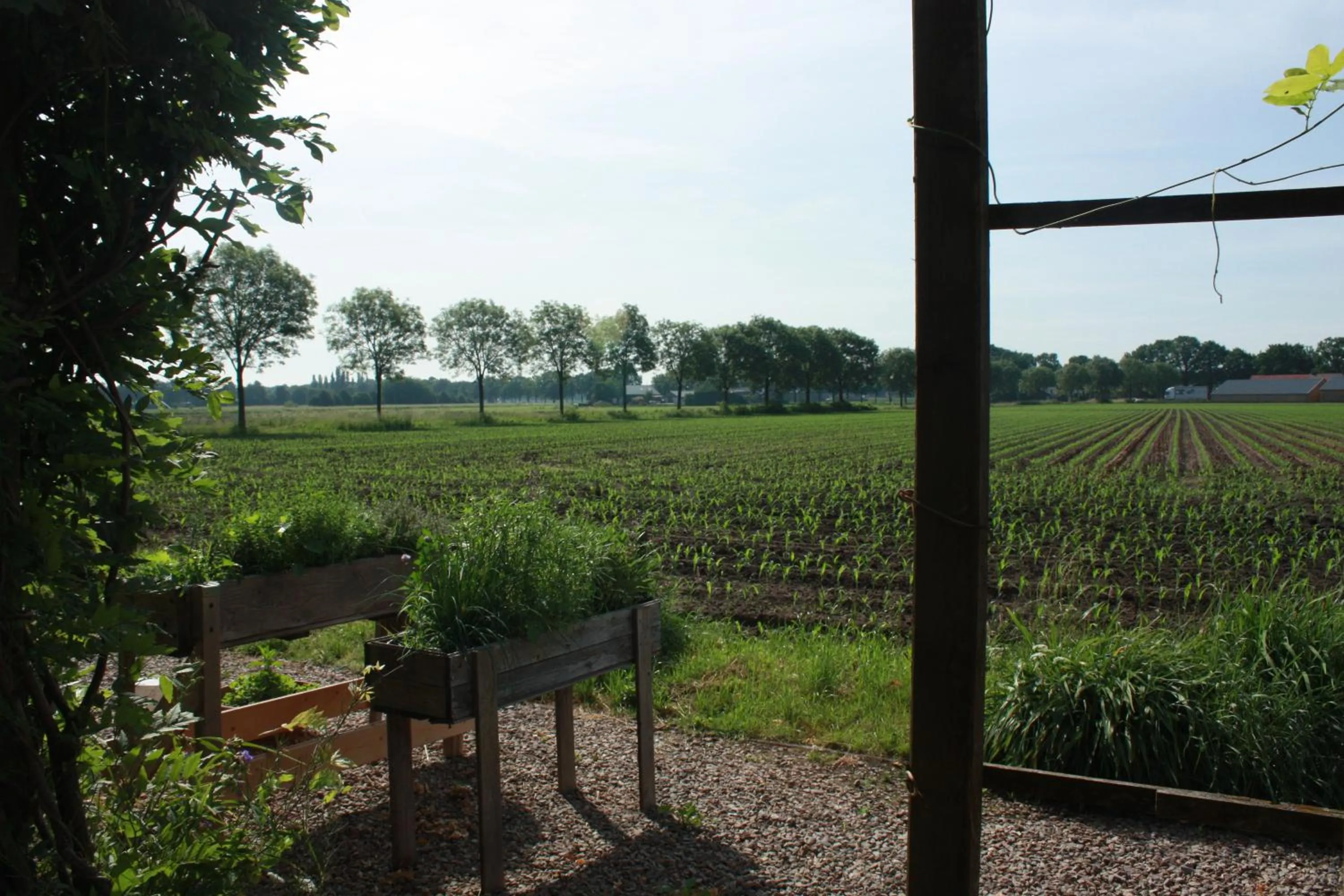 Natural landscape in BnB De Peelvos