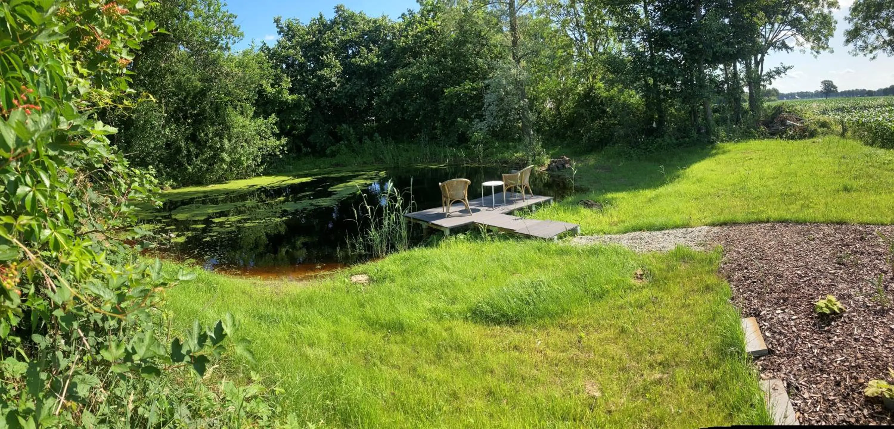 Garden in BnB De Peelvos