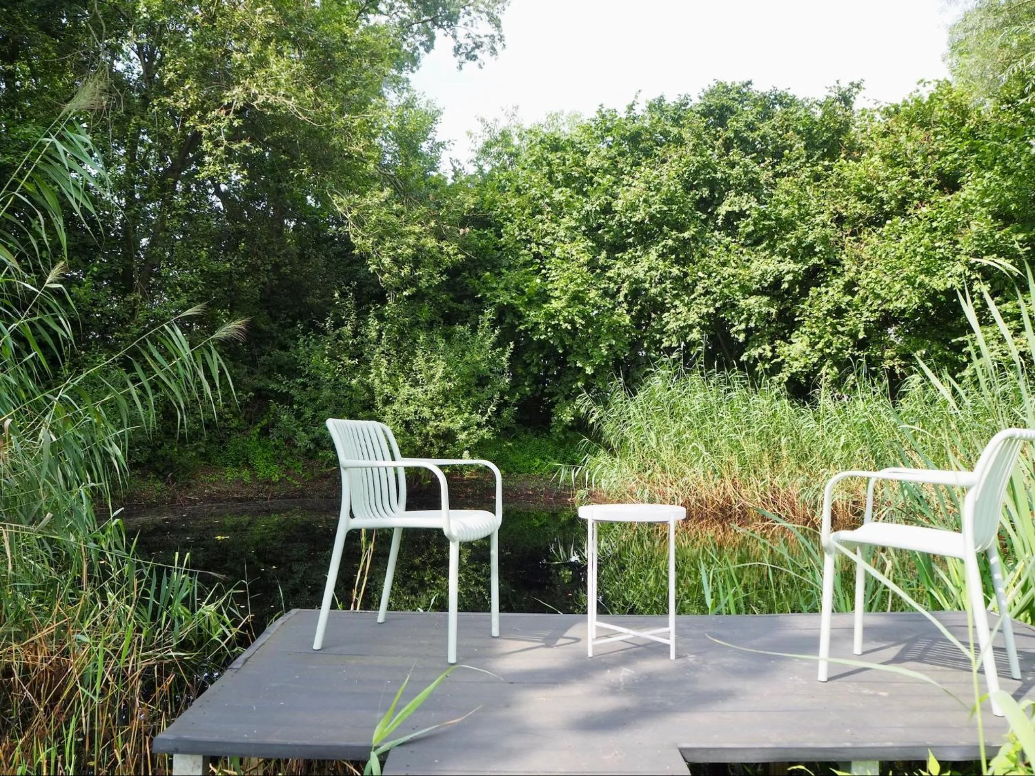 Garden in BnB De Peelvos