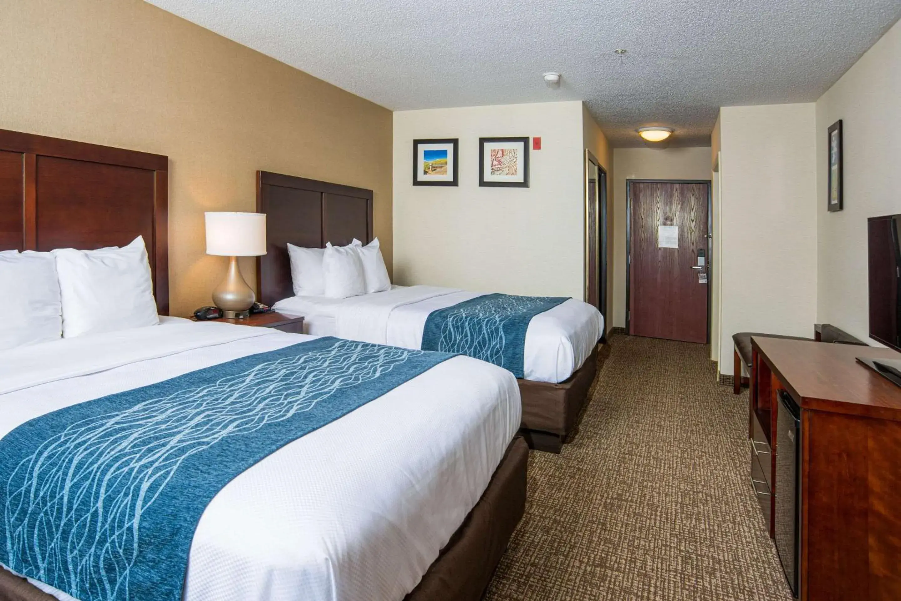 Photo of the whole room, Bed in Comfort Inn Naugatuck-Shelton, CT Photo of the whole room, Bed in Comfort Inn Naugatuck-Shelton, CT