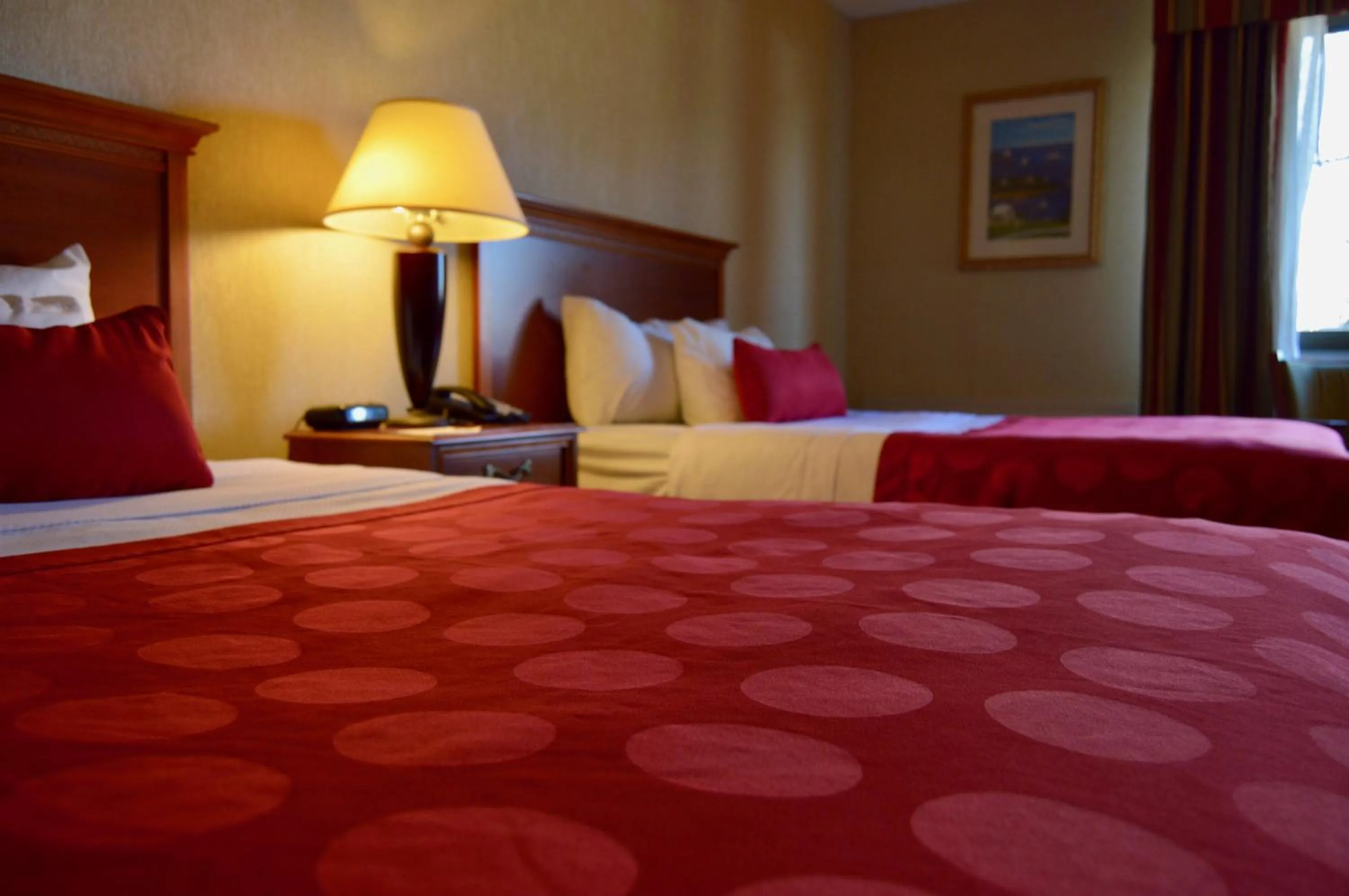 Bed in Mystic River Hotel & Suites