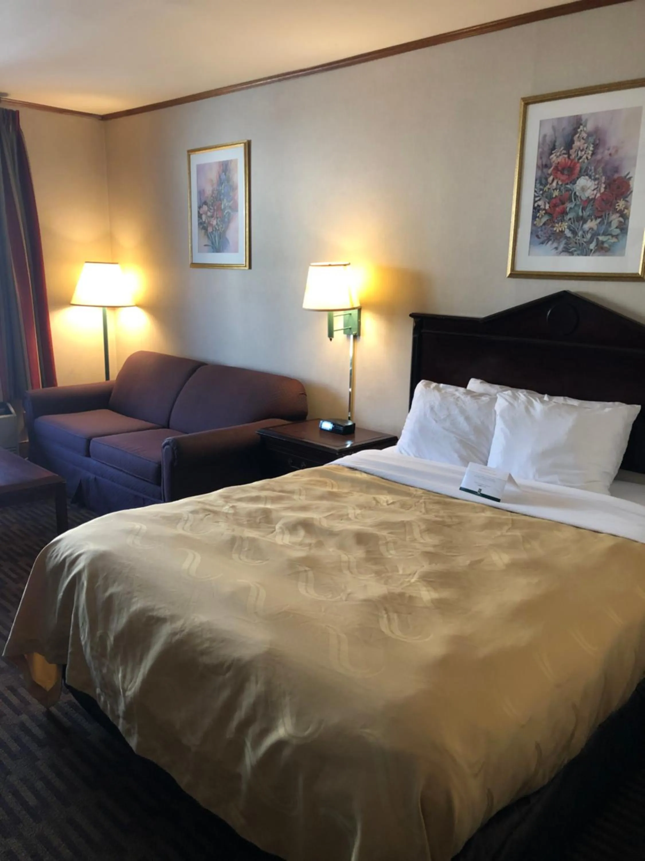 Bed in Quality Inn & Suites Skyways