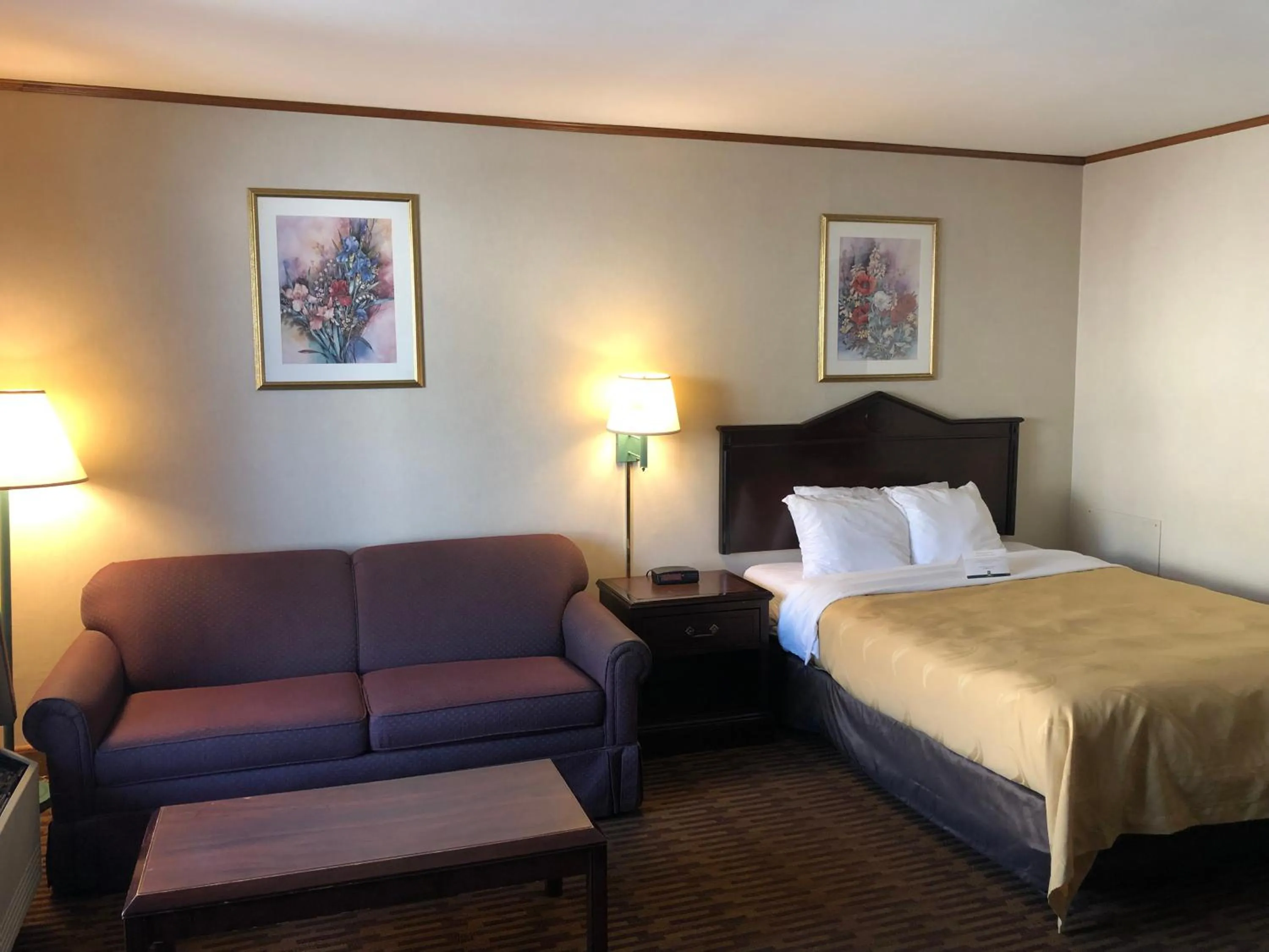 Bed in Quality Inn & Suites Skyways