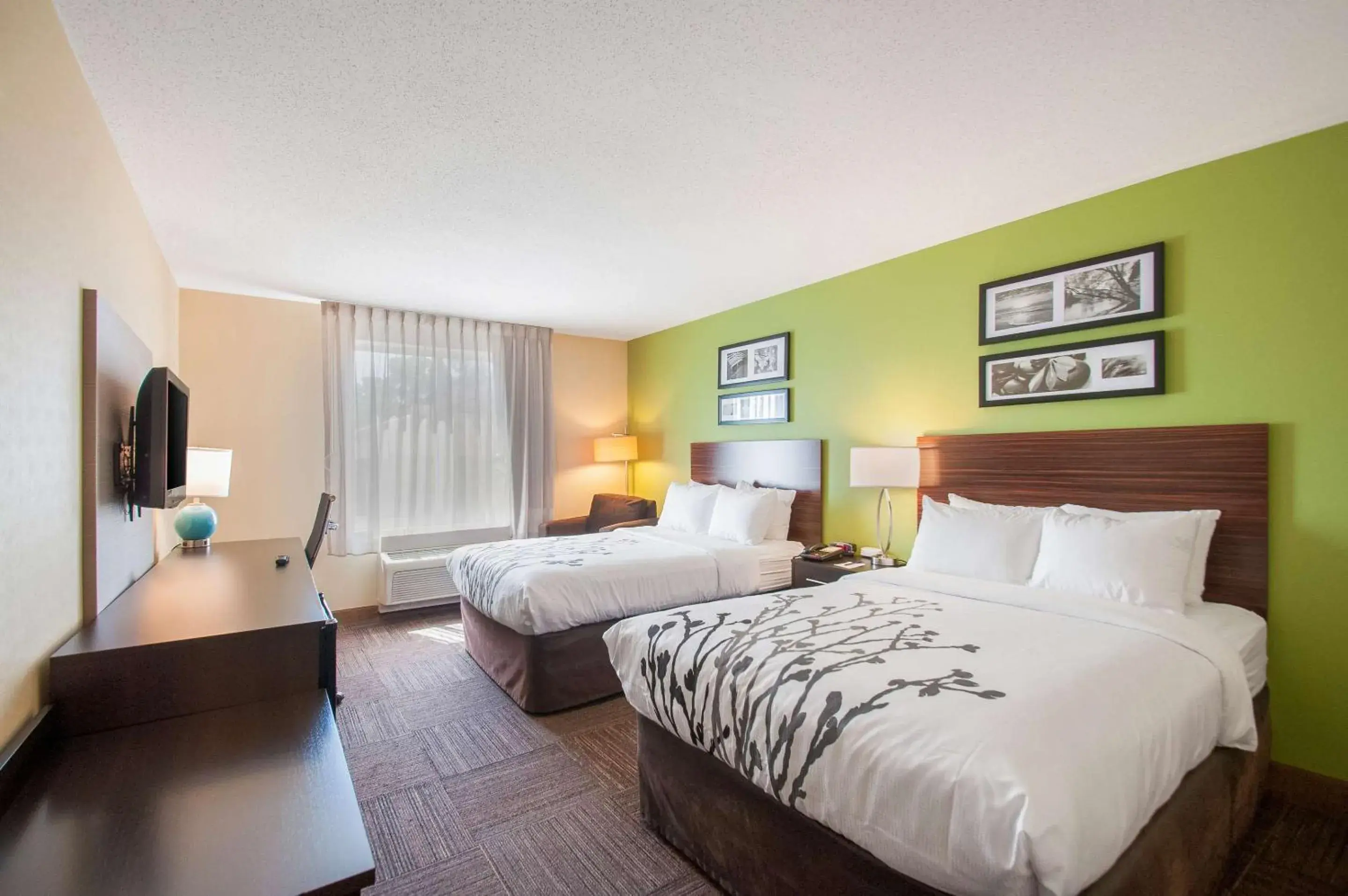 Bedroom, Bed in Sleep Inn & Suites Dover University Area Bedroom, Bed in Sleep Inn & Suites Dover University Area