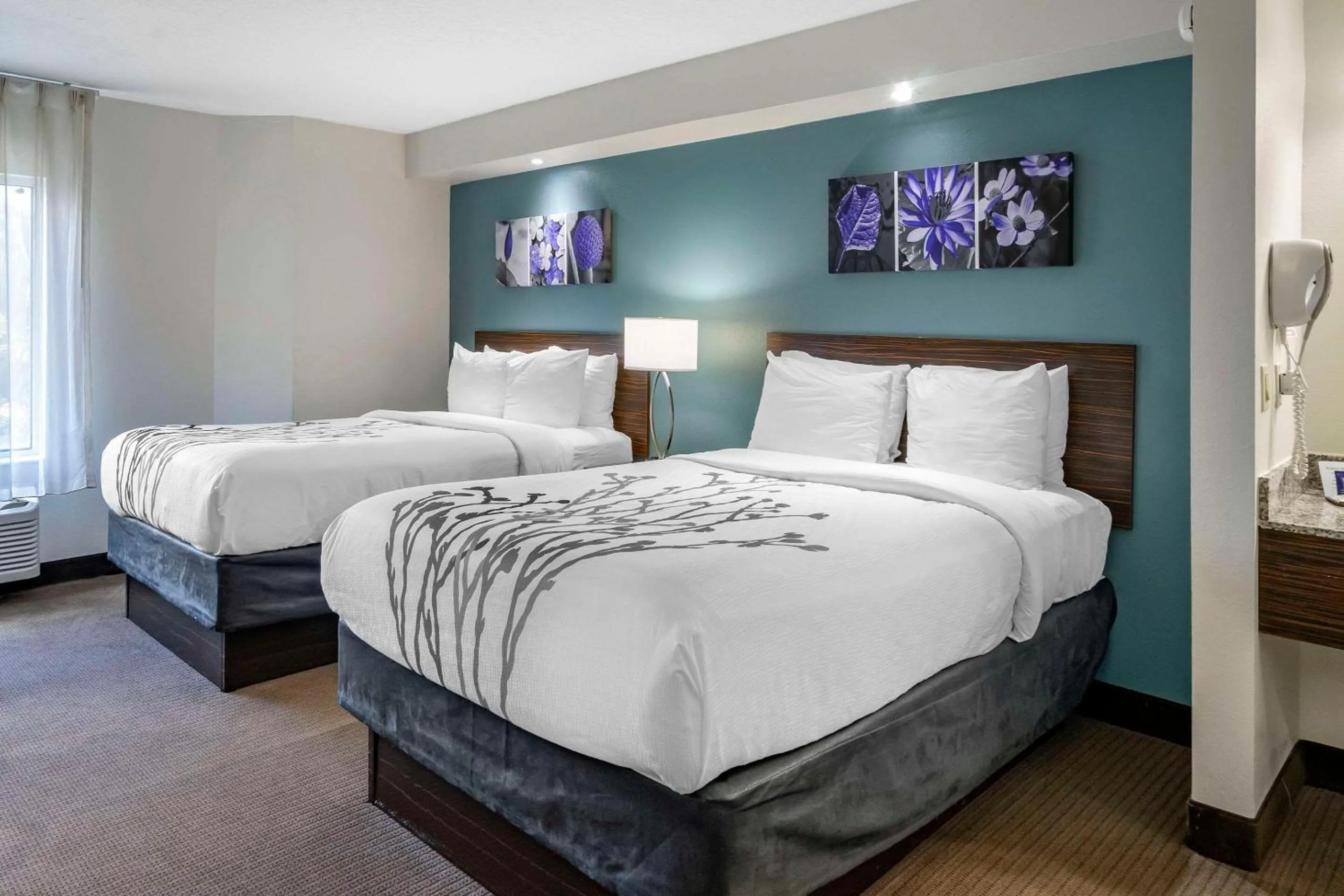 Bedroom, Bed in Sleep Inn Clearwater-St Petersburg