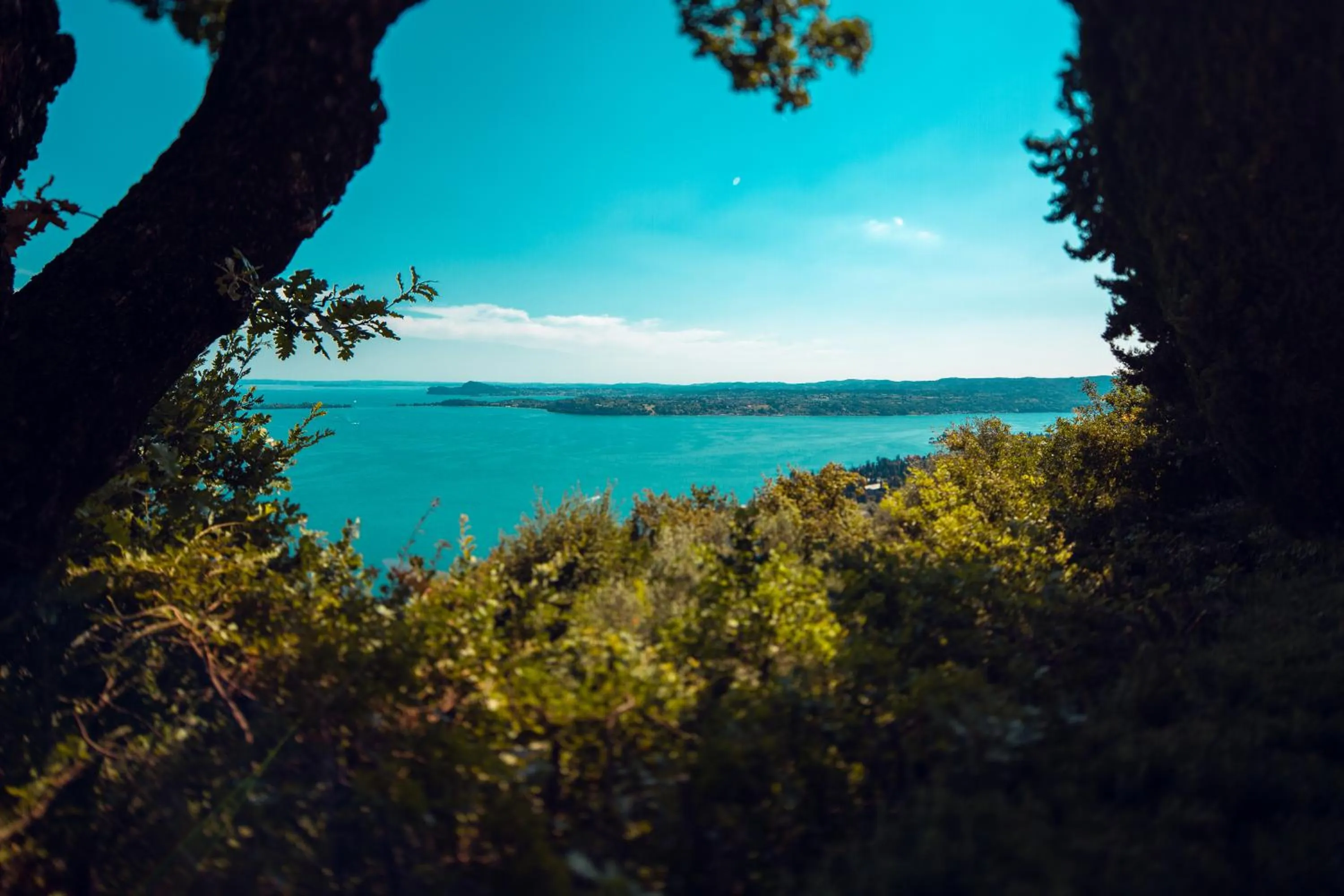 Natural landscape in Domina Borgo degli Ulivi - Garda Lake