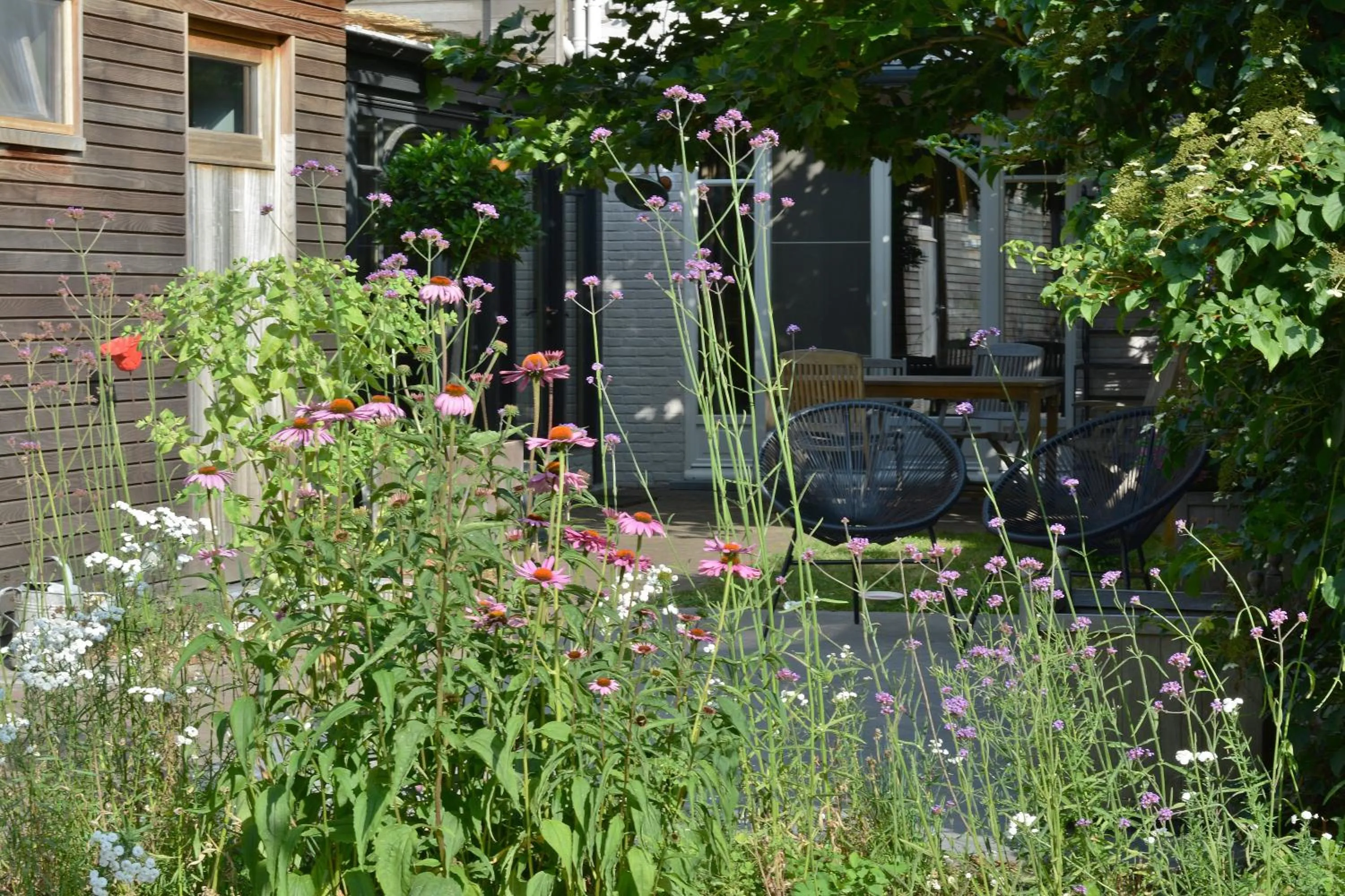 Beeltjens B&B: Wolf&Belle