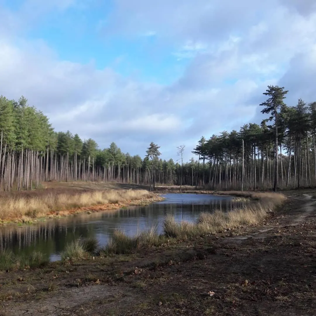 Natural landscape in Beeltjens B&B: Wolf&Belle