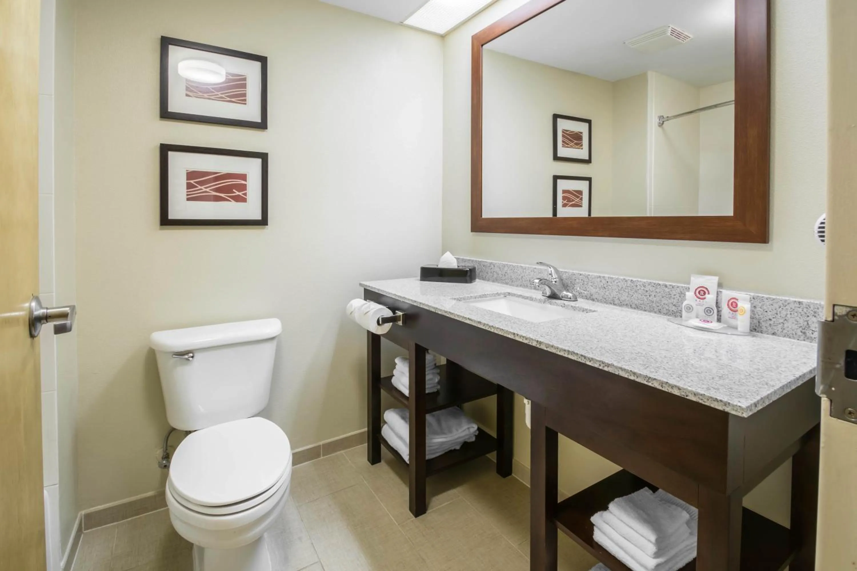 Bathroom in Comfort Inn & Suites DeLand - near University
