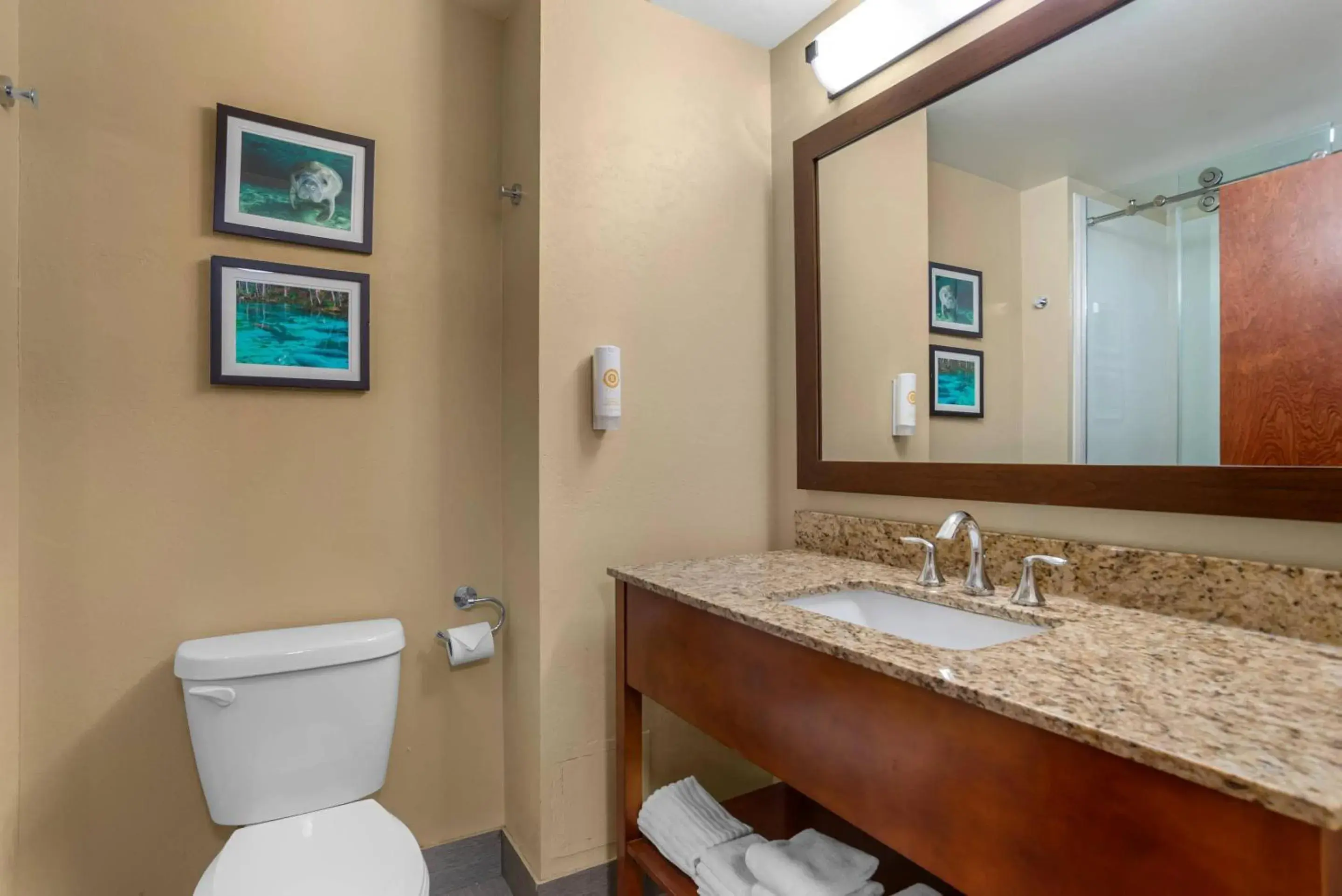 Bedroom in Comfort Suites Tallahassee Capitol - University Area Bedroom in Comfort Suites Tallahassee Capitol - University Area