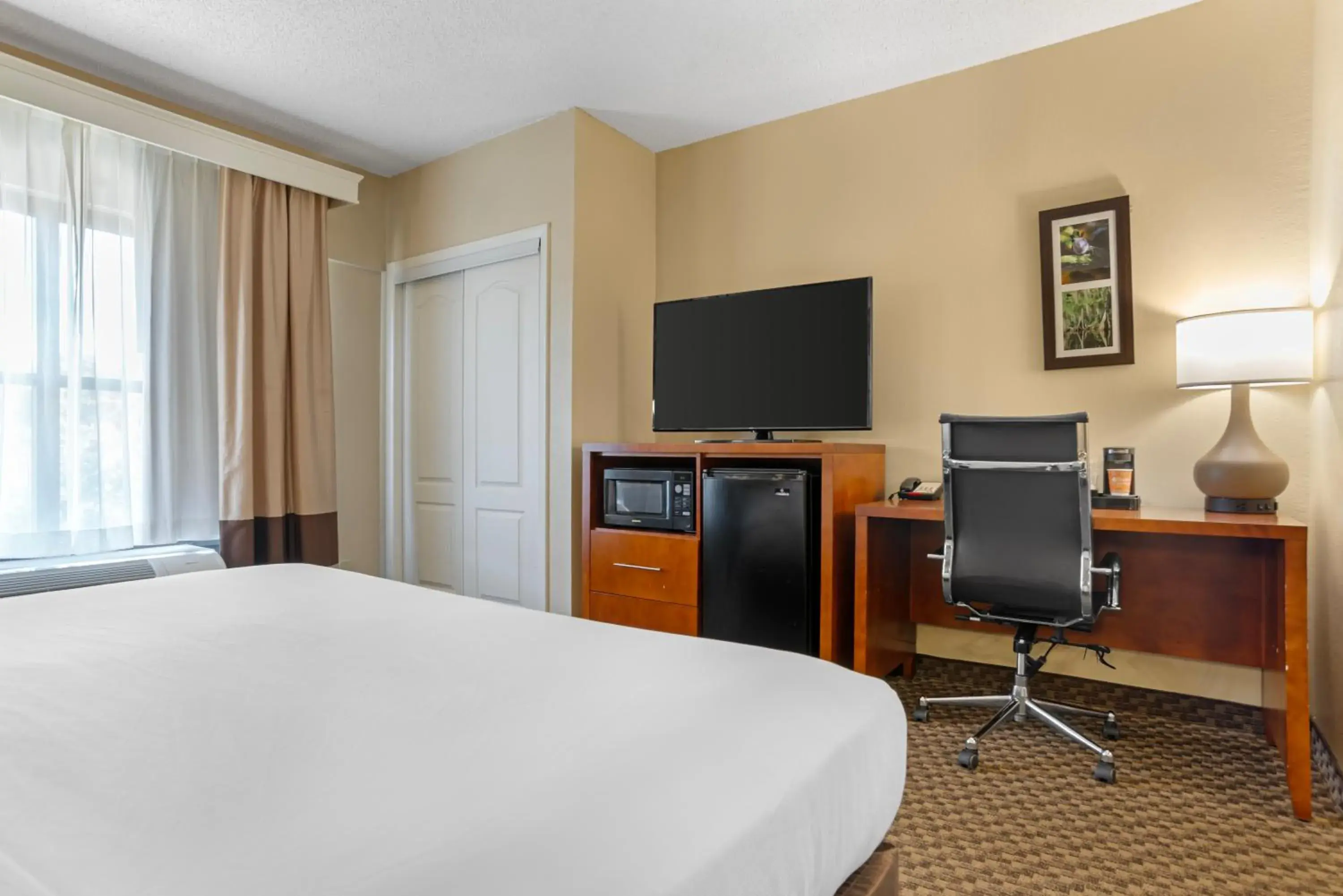 Bed in Comfort Suites Tallahassee Capitol - University Area Bed in Comfort Suites Tallahassee Capitol - University Area