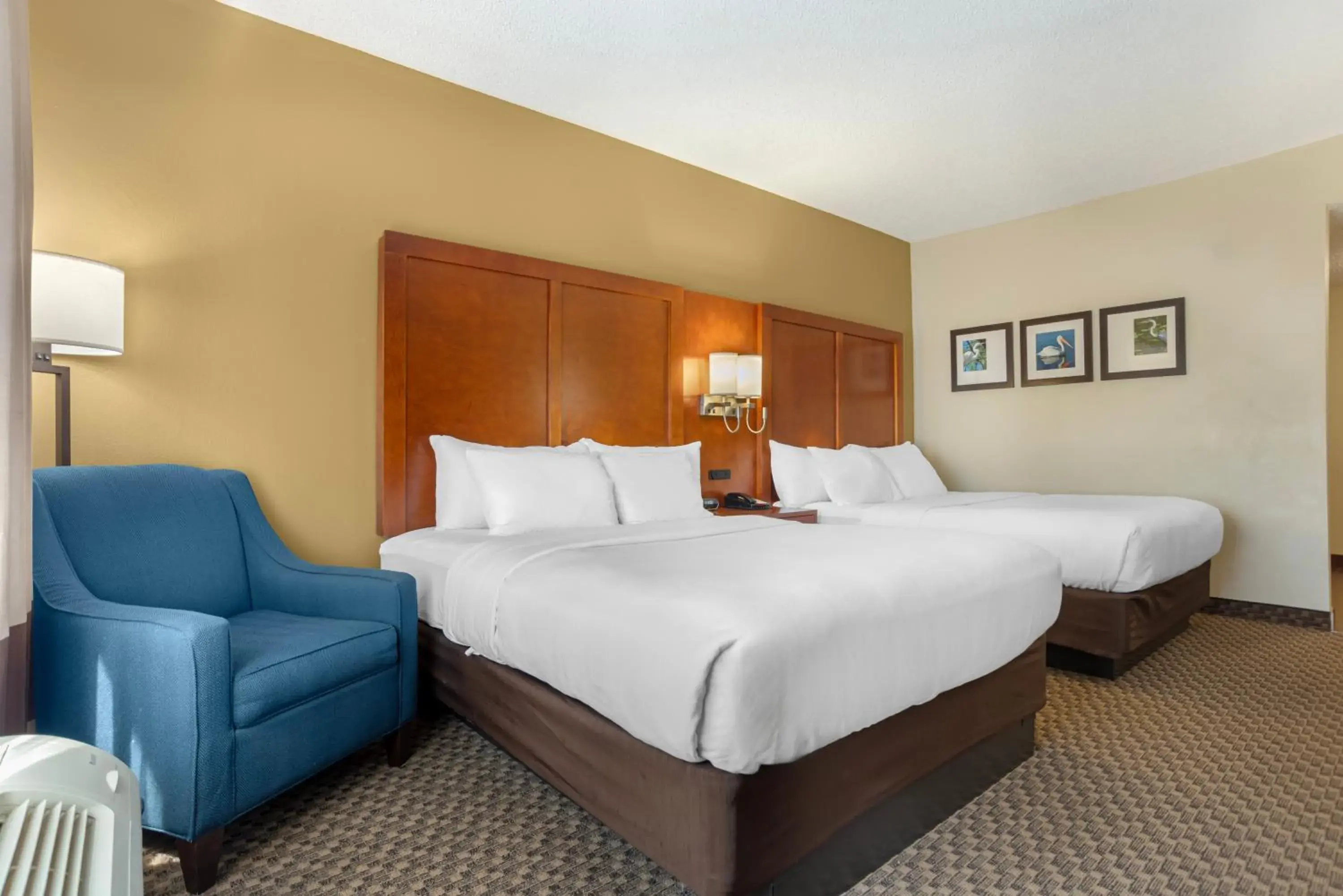 Bed in Comfort Suites Tallahassee Capitol - University Area Bed in Comfort Suites Tallahassee Capitol - University Area