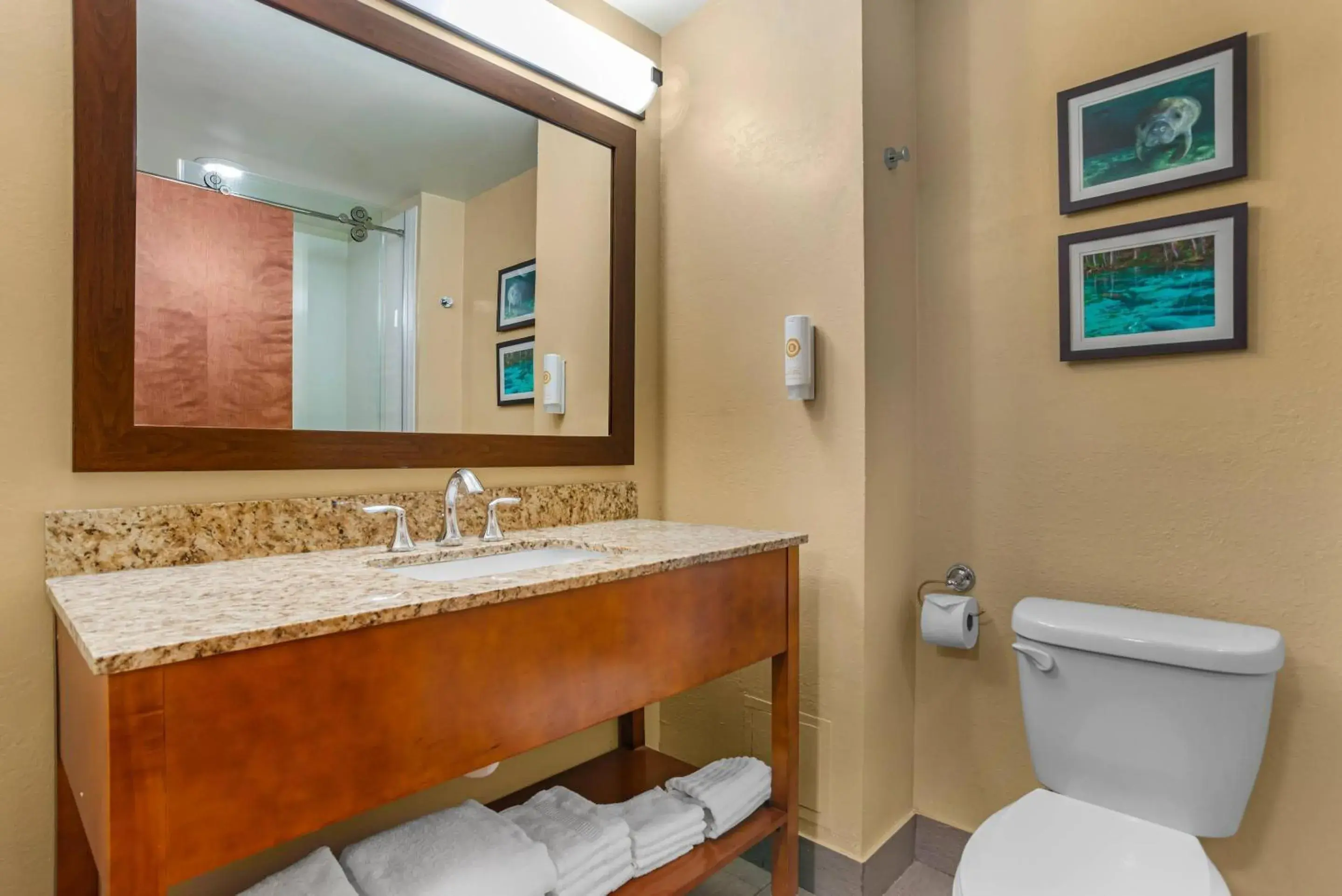 Bedroom in Comfort Suites Tallahassee Capitol - University Area Bedroom in Comfort Suites Tallahassee Capitol - University Area