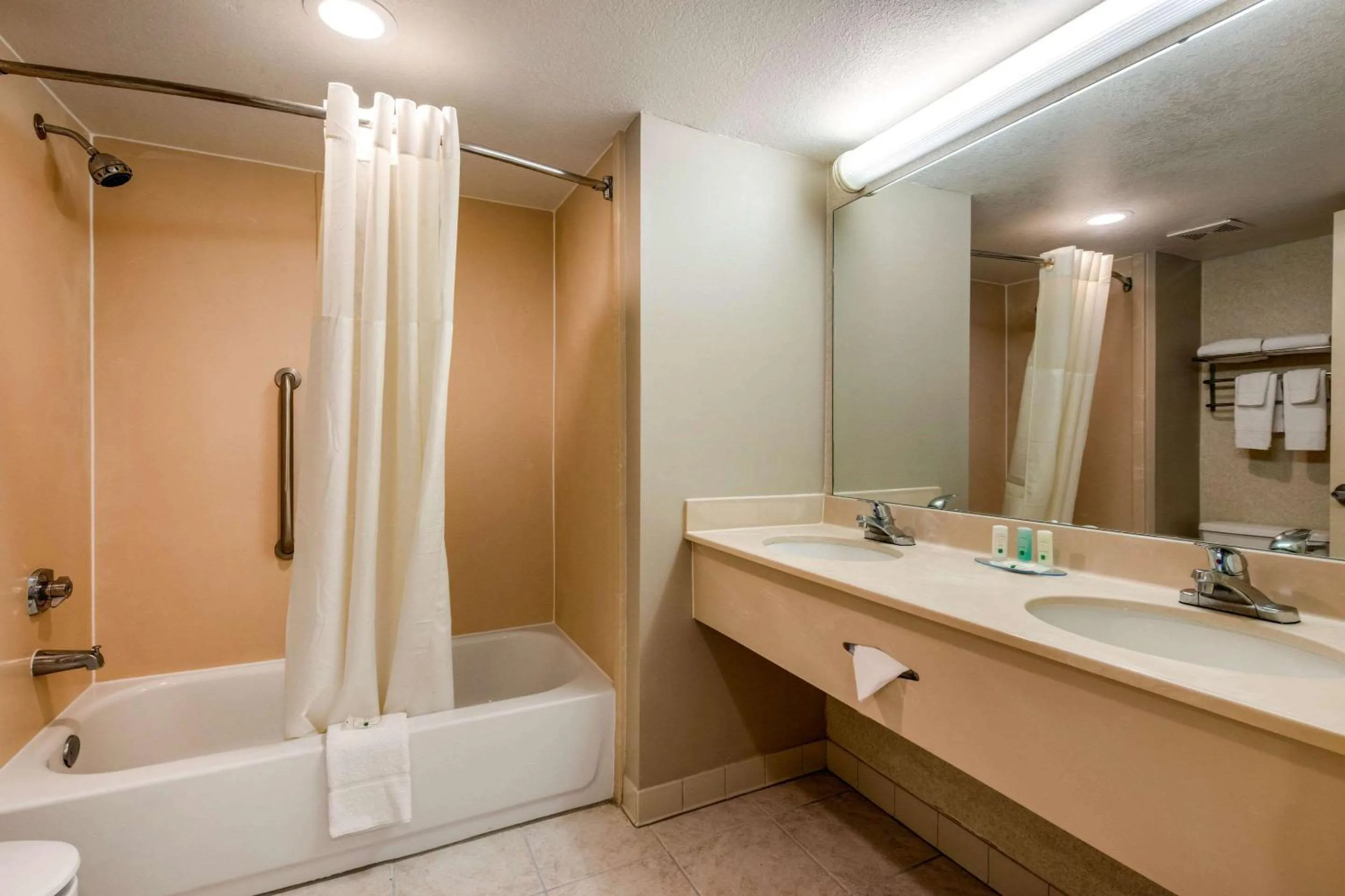 Bedroom in Quality Inn & Suites Tarpon Springs South