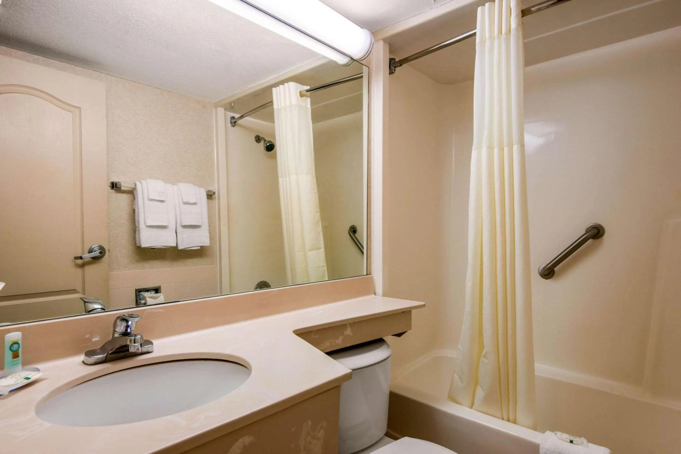 Bedroom in Quality Inn & Suites Tarpon Springs South