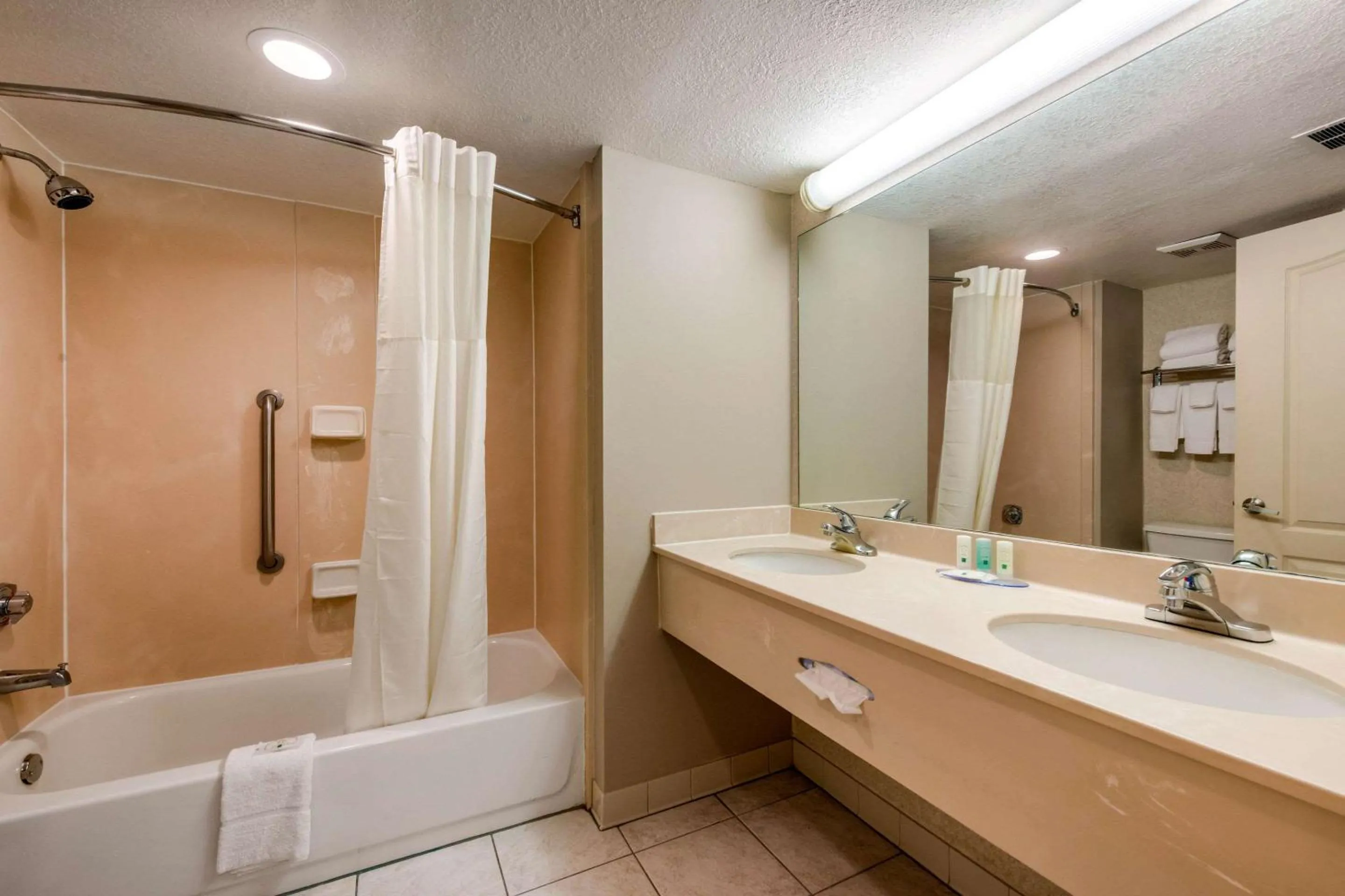 Bedroom in Quality Inn & Suites Tarpon Springs South
