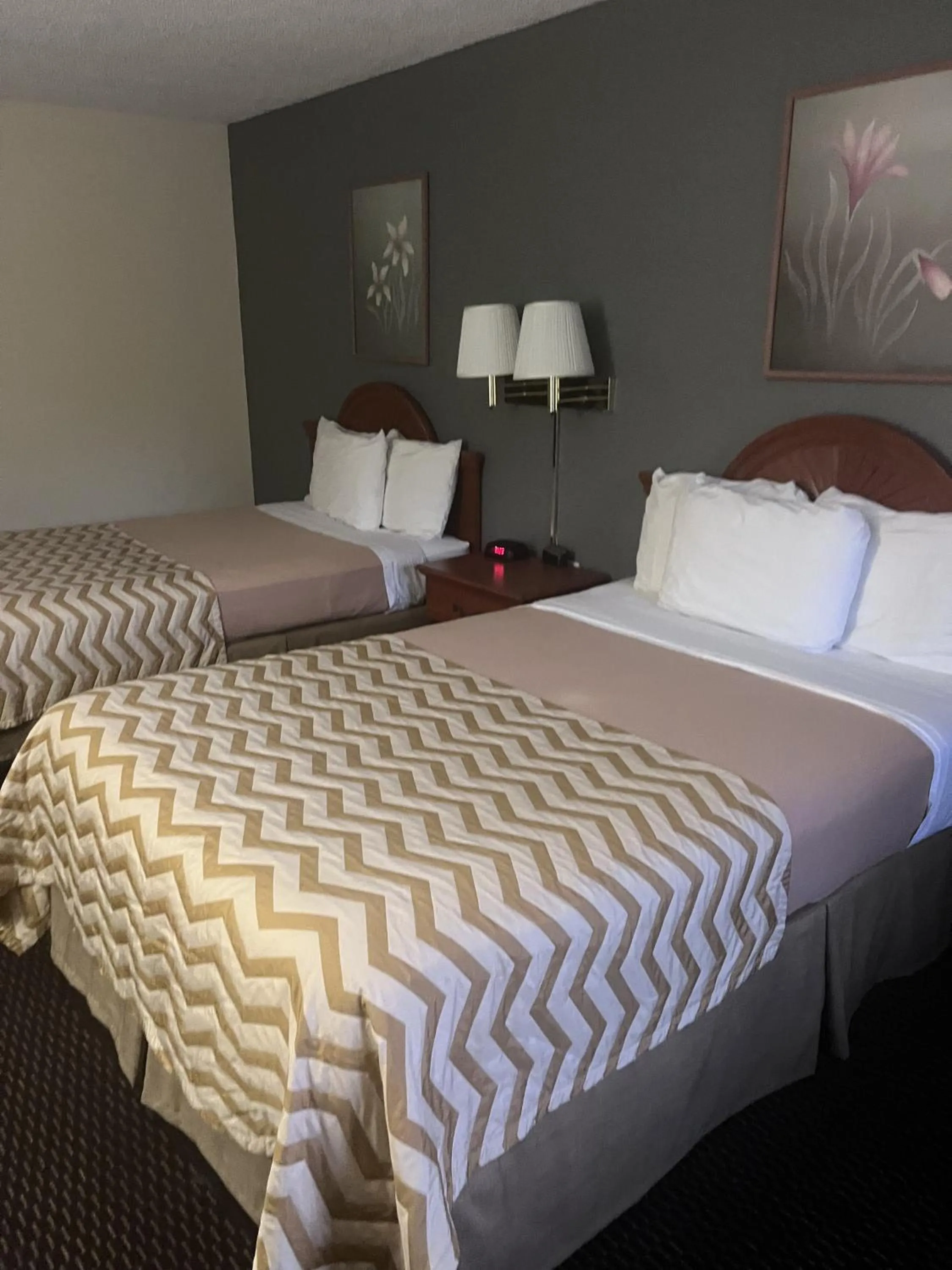 Photo of the whole room, Bed in Alachua Inn