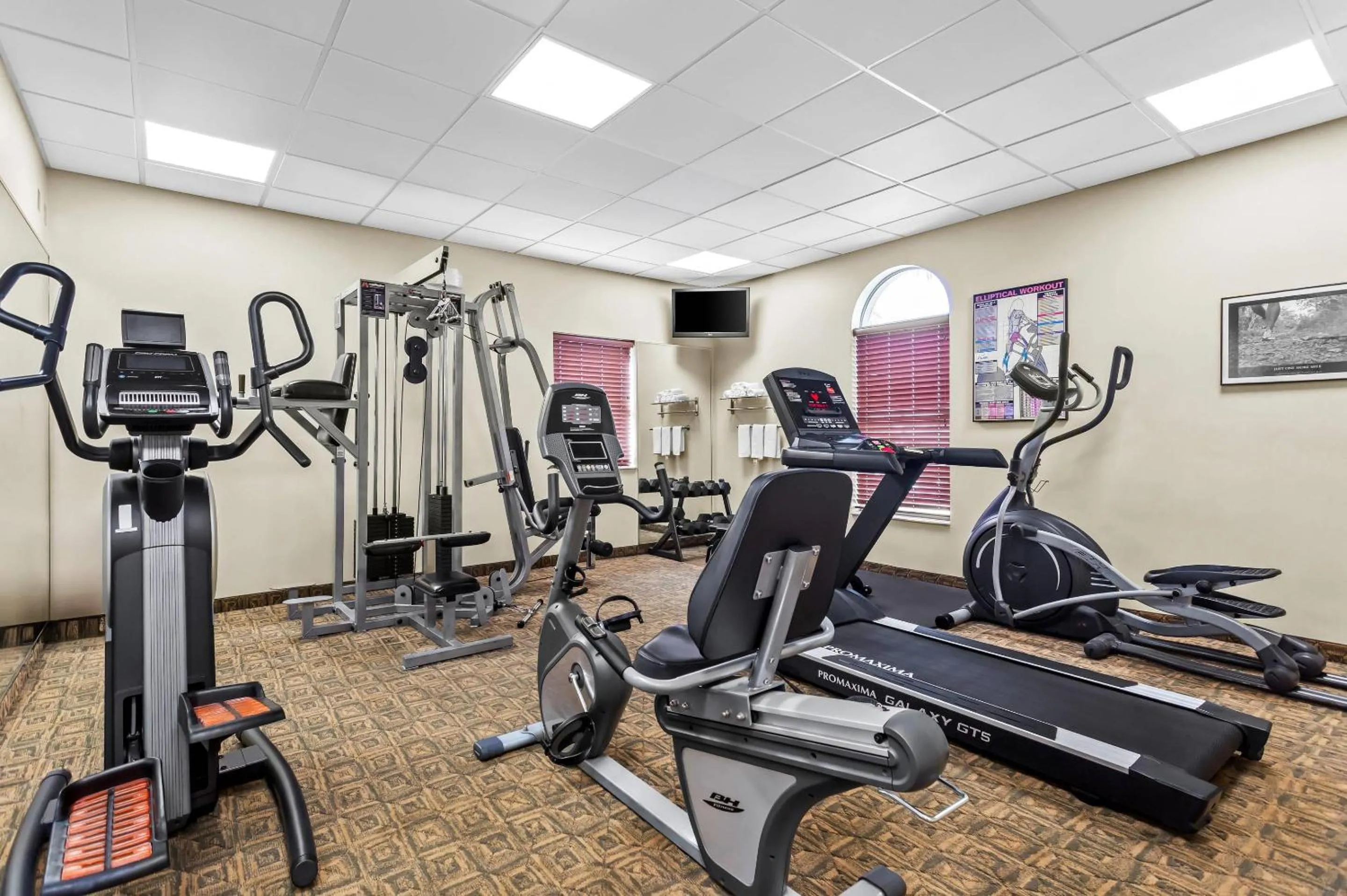 Fitness centre/facilities in Quality Inn Tampa Airport - Cruise Port