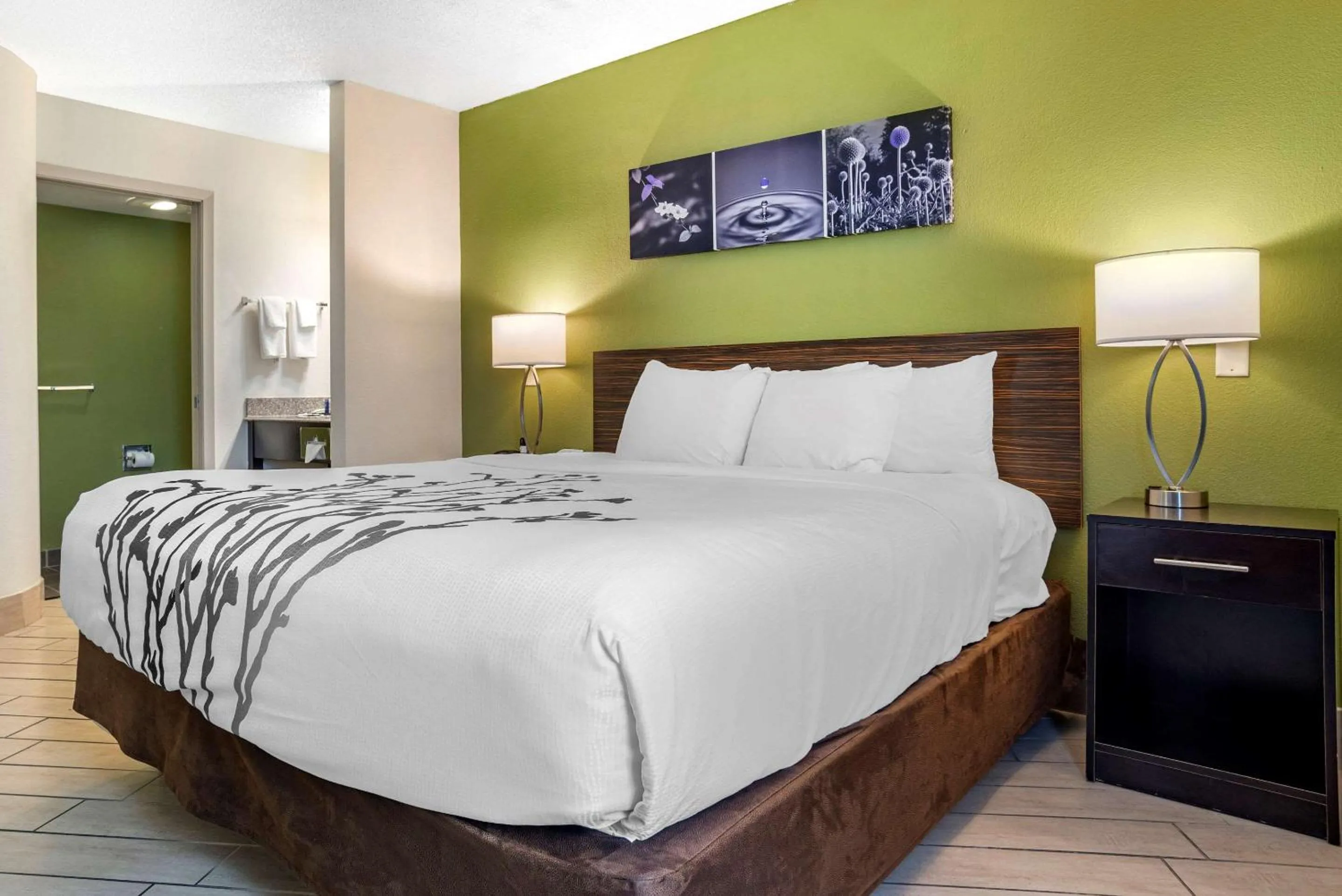 Photo of the whole room in Sleep Inn Destin near Miramar Beach