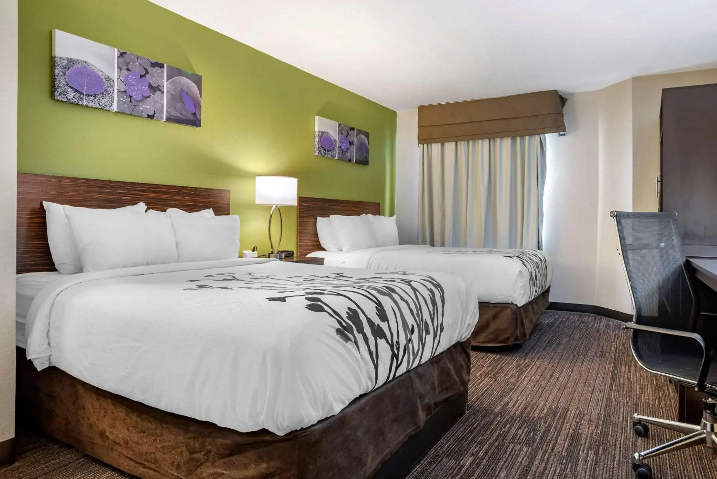 Photo of the whole room in Sleep Inn Destin near Miramar Beach Photo of the whole room in Sleep Inn Destin near Miramar Beach