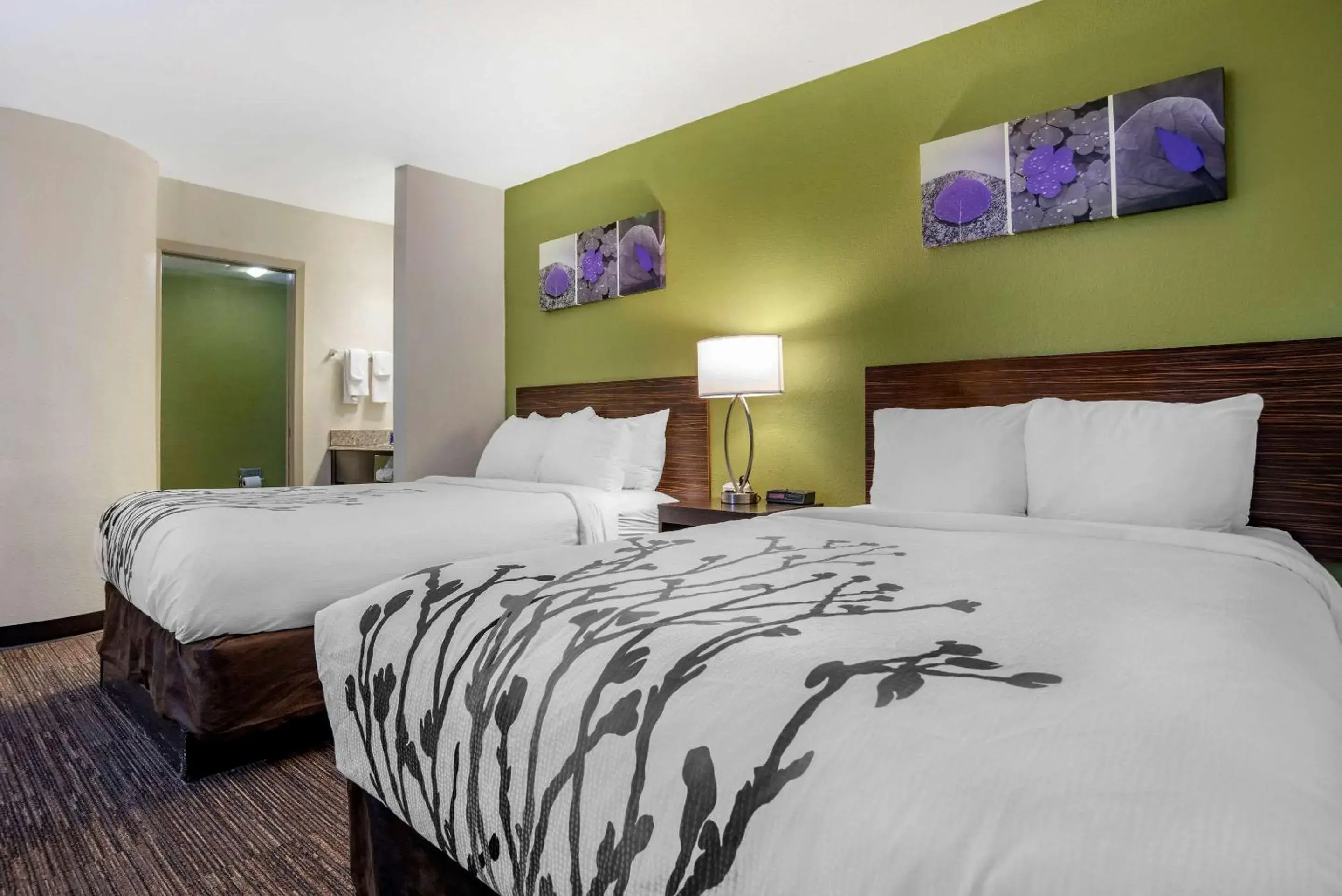 Photo of the whole room in Sleep Inn Destin near Miramar Beach Photo of the whole room in Sleep Inn Destin near Miramar Beach