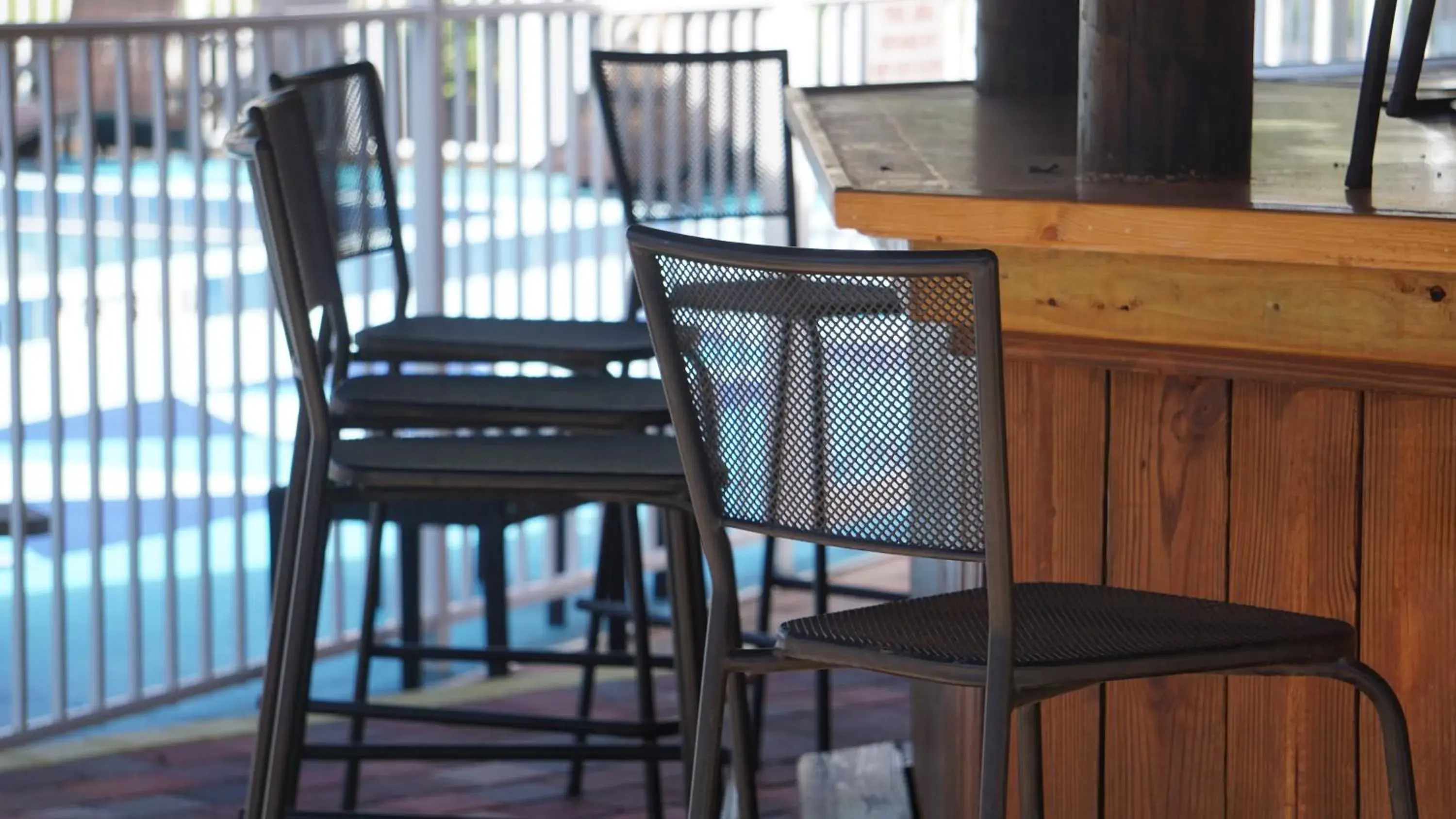 Lounge or bar in ISLAND HOTEL of Space Coast Lounge or bar in ISLAND HOTEL of Space Coast