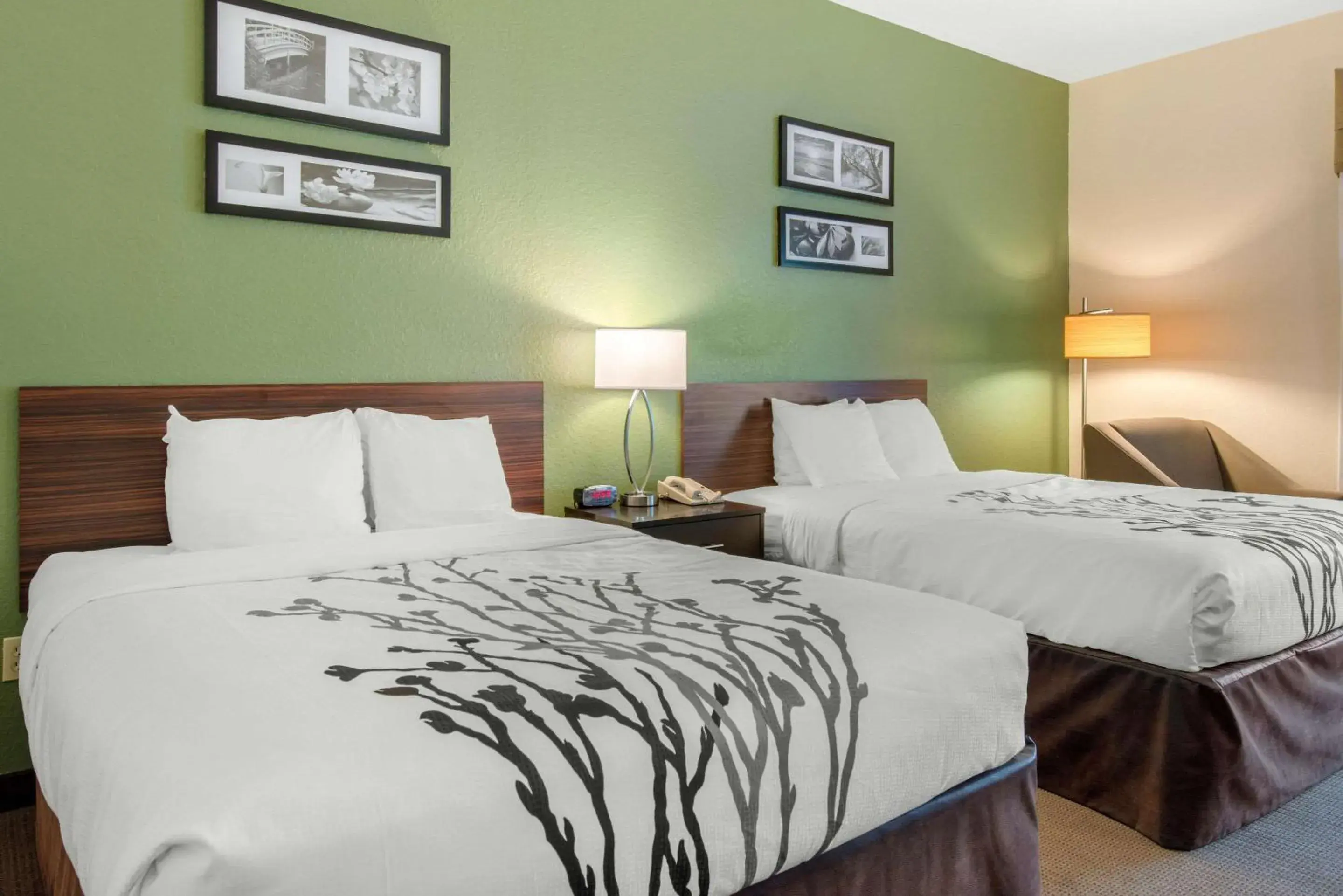 Queen Room with Two Queen Beds and Accessible Tub - Accessible/Non-Smoking in Sleep Inn & Suites Port Charlotte-Punta Gorda Queen Room with Two Queen Beds and Accessible Tub - Accessible/Non-Smoking in Sleep Inn & Suites Port Charlotte-Punta Gorda