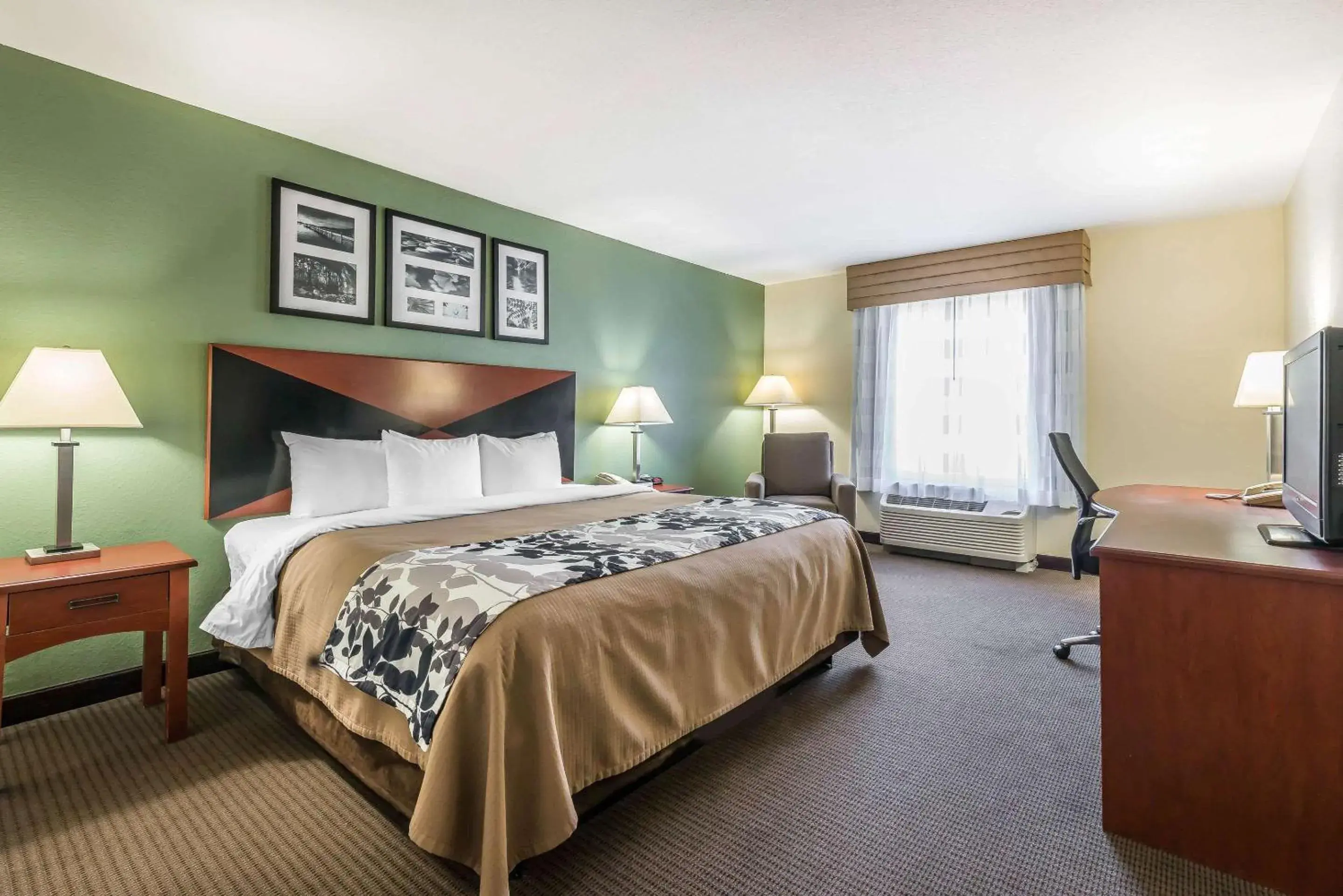 Bedroom, Bed in Sleep Inn & Suites University-Shands Bedroom, Bed in Sleep Inn & Suites University-Shands