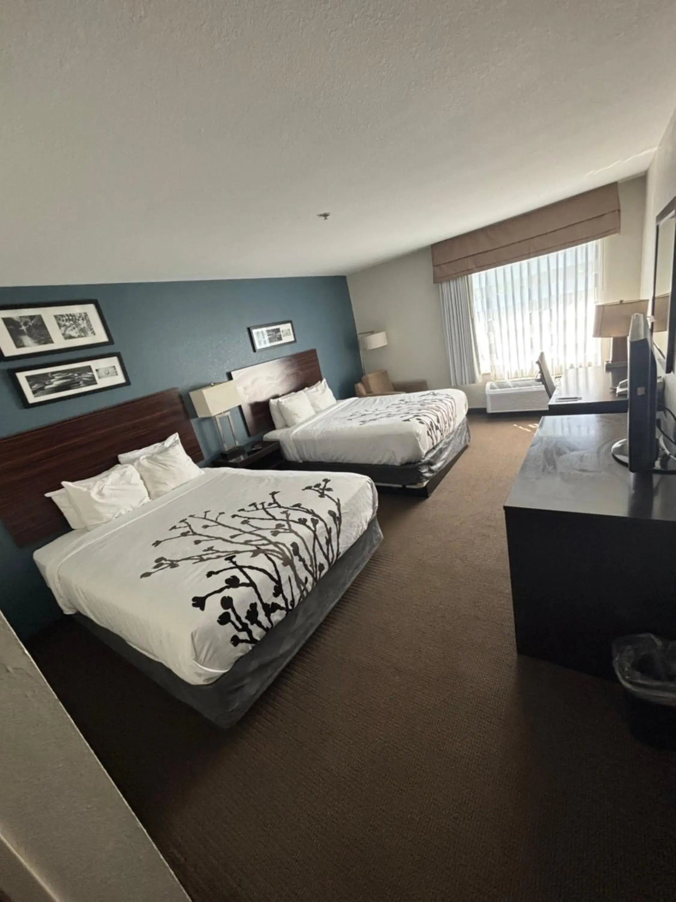 Bed in Sleep Inn & Suites Palatka North Bed in Sleep Inn & Suites Palatka North