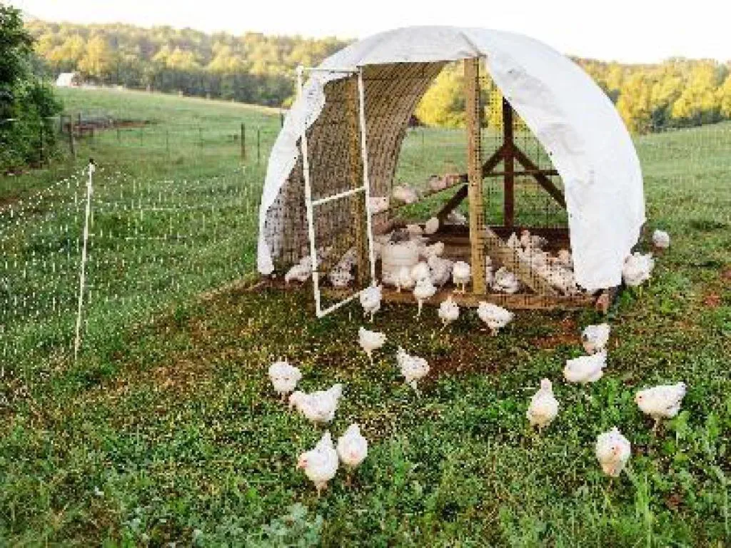 Other in A Mighty Oak B&B