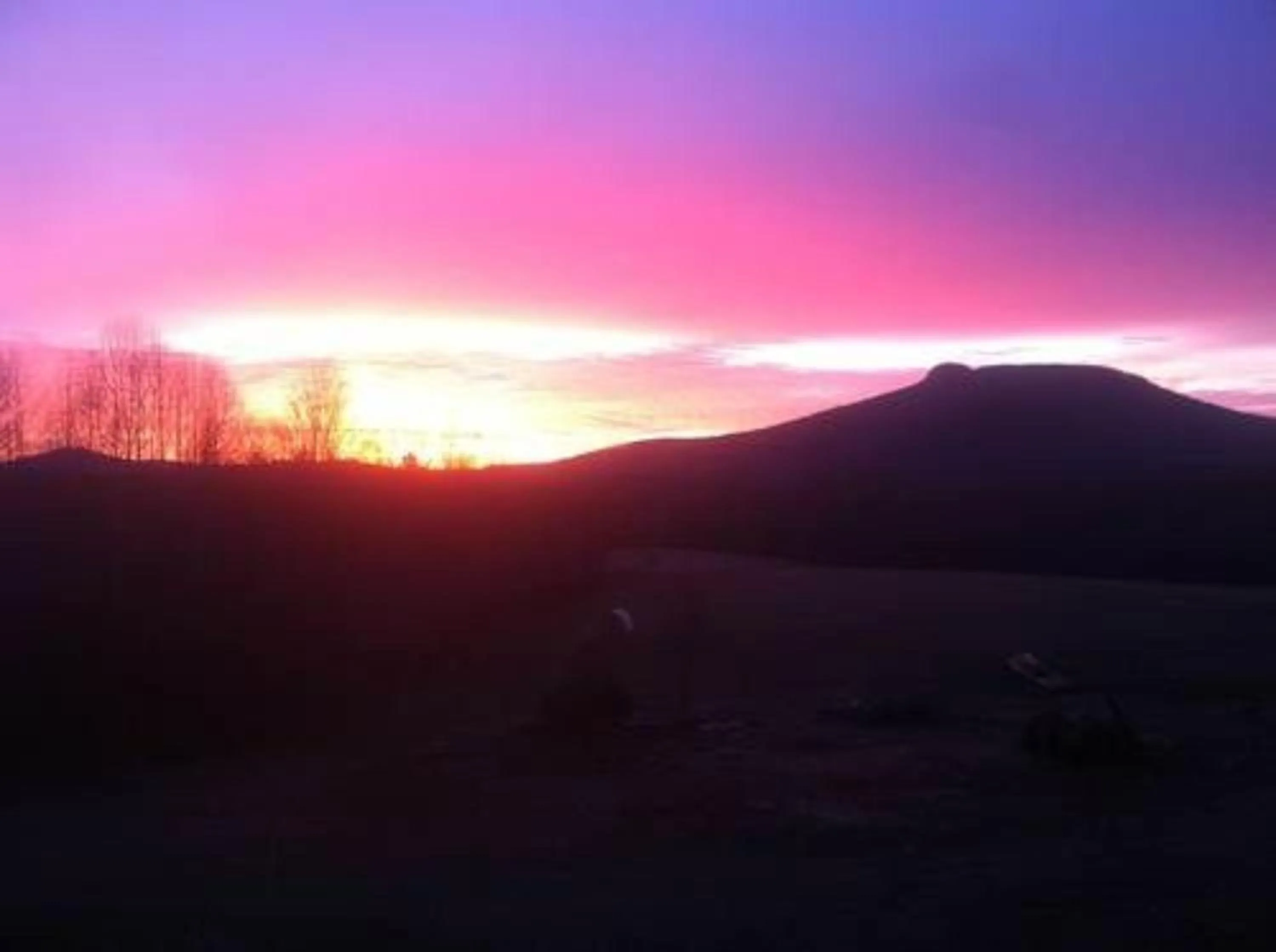 Other in A Mighty Oak B&B