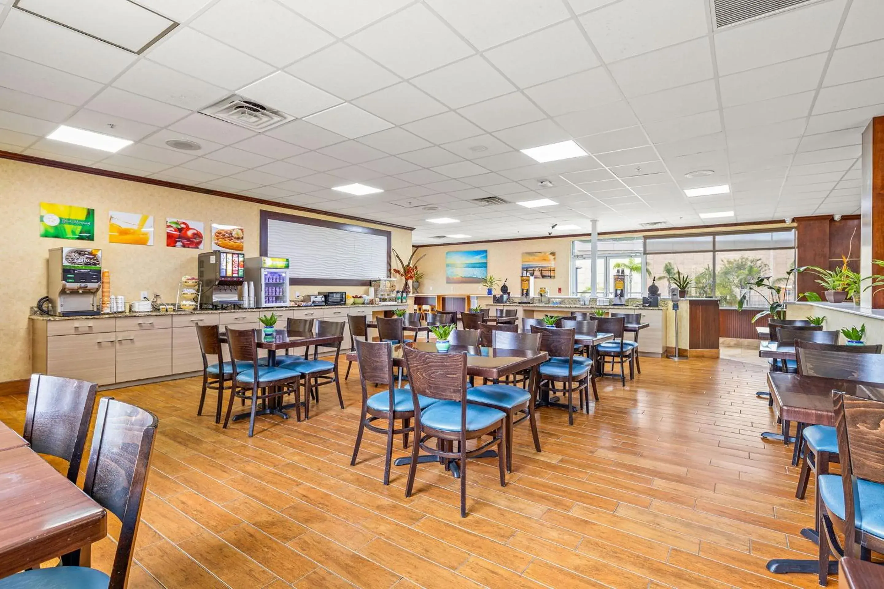 Restaurant/places to eat in Quality Inn & Suites Tampa-Ybor City Restaurant/places to eat in Quality Inn & Suites Tampa-Ybor City