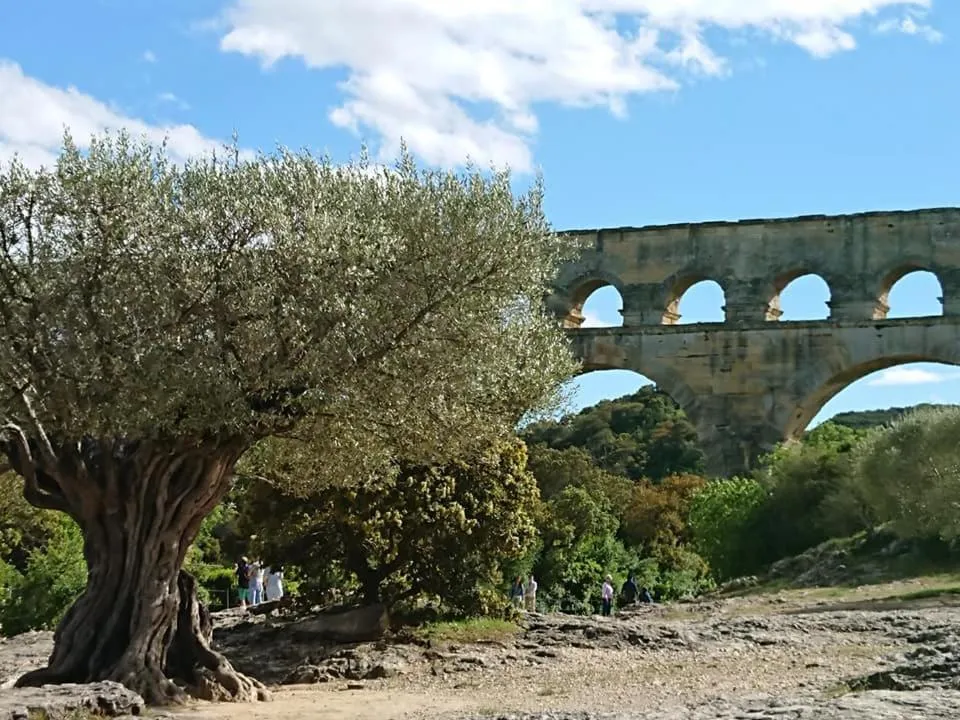 Lou Meinado, un concept "comme à l'hôtel"