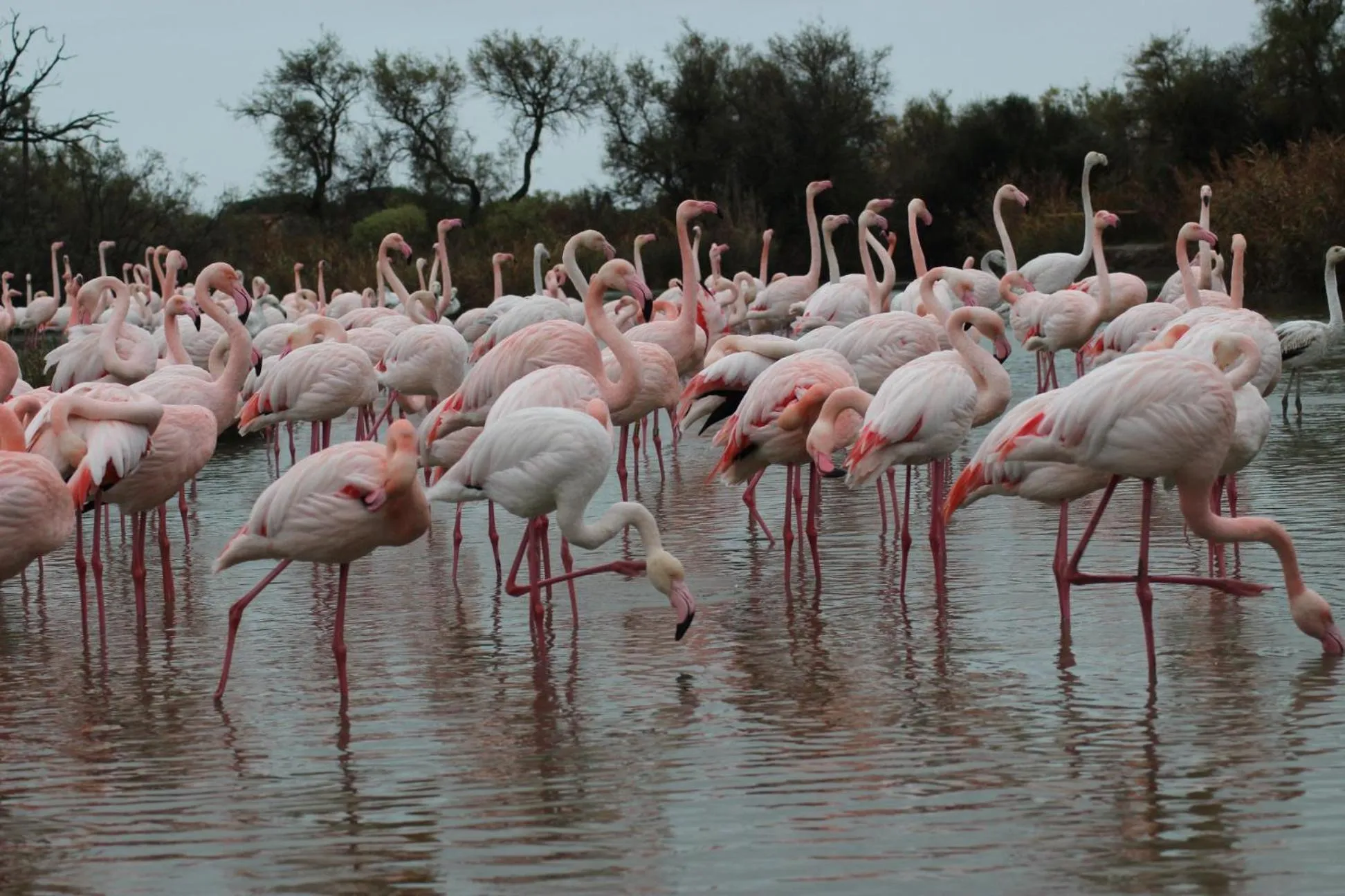 Lou Meinado, un concept "comme à l'hôtel"