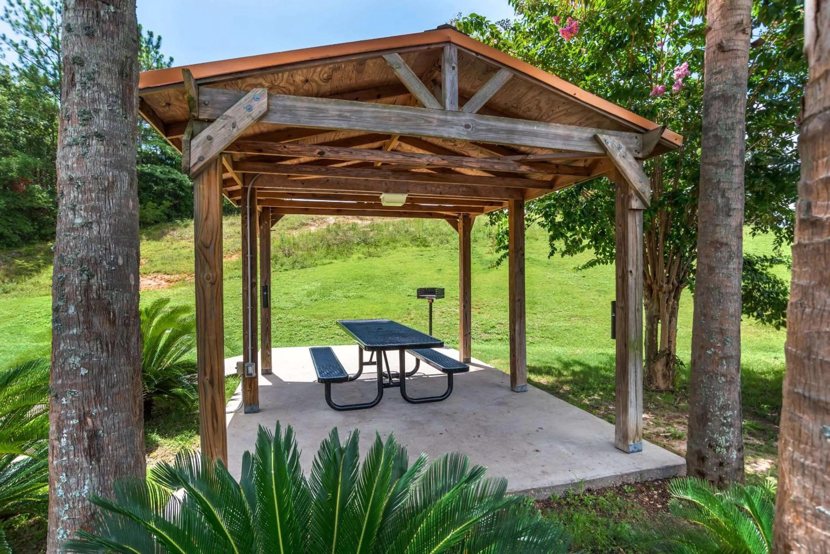 Other in Comfort Inn & Suites