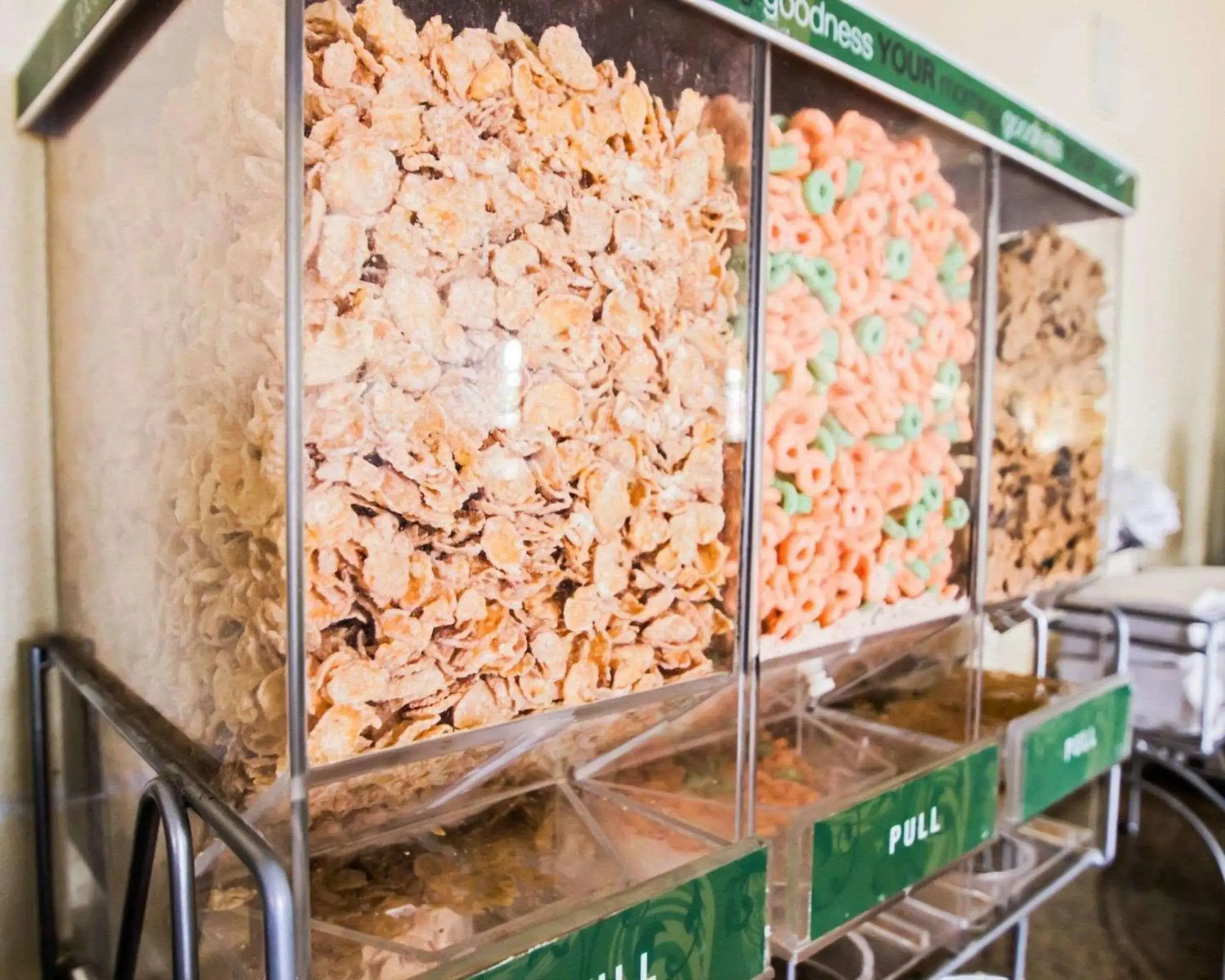 Restaurant/places to eat in Quality Inn & Suites Winter Park Village Area Restaurant/places to eat in Quality Inn & Suites Winter Park Village Area