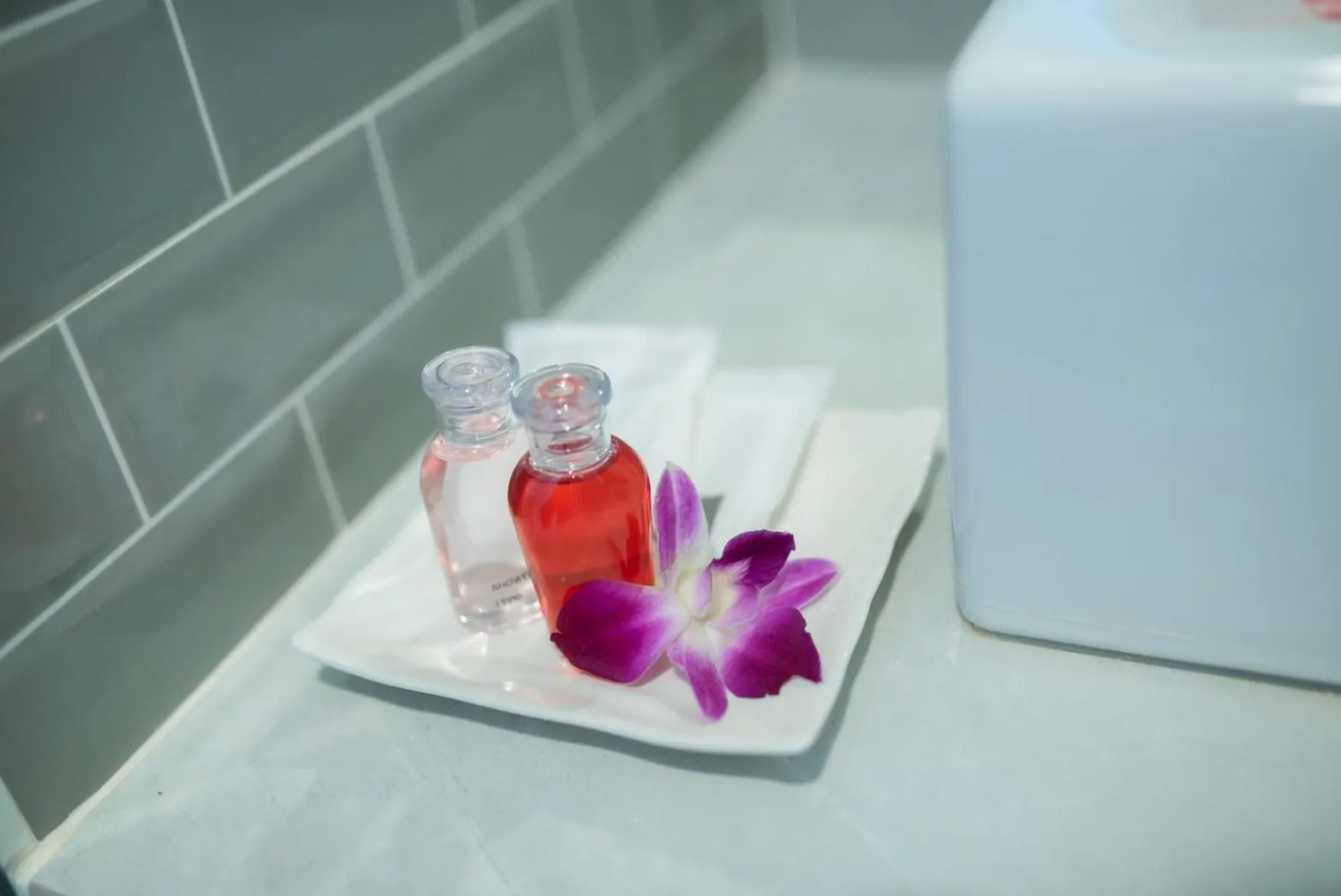 Coconut Grove Hotel Samui