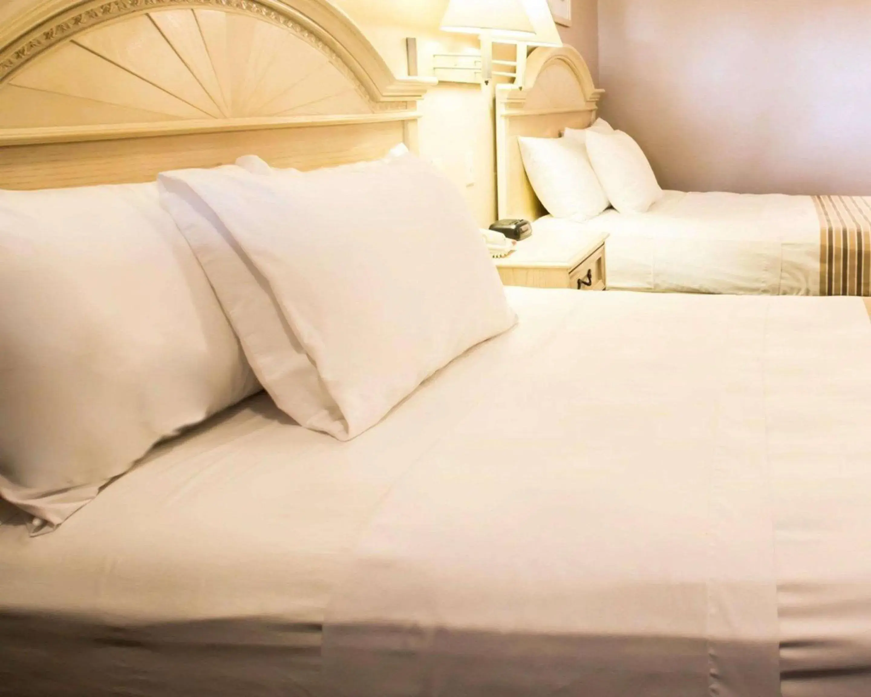 Photo of the whole room, Bed in Rodeway Inn Photo of the whole room, Bed in Rodeway Inn