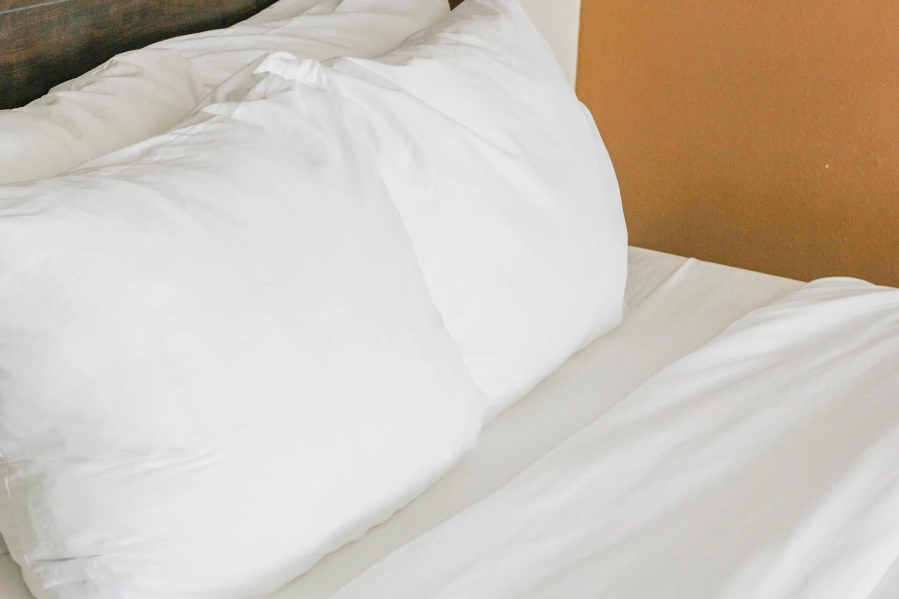 Bedroom in Quality Inn Conference Center at Citrus Hills