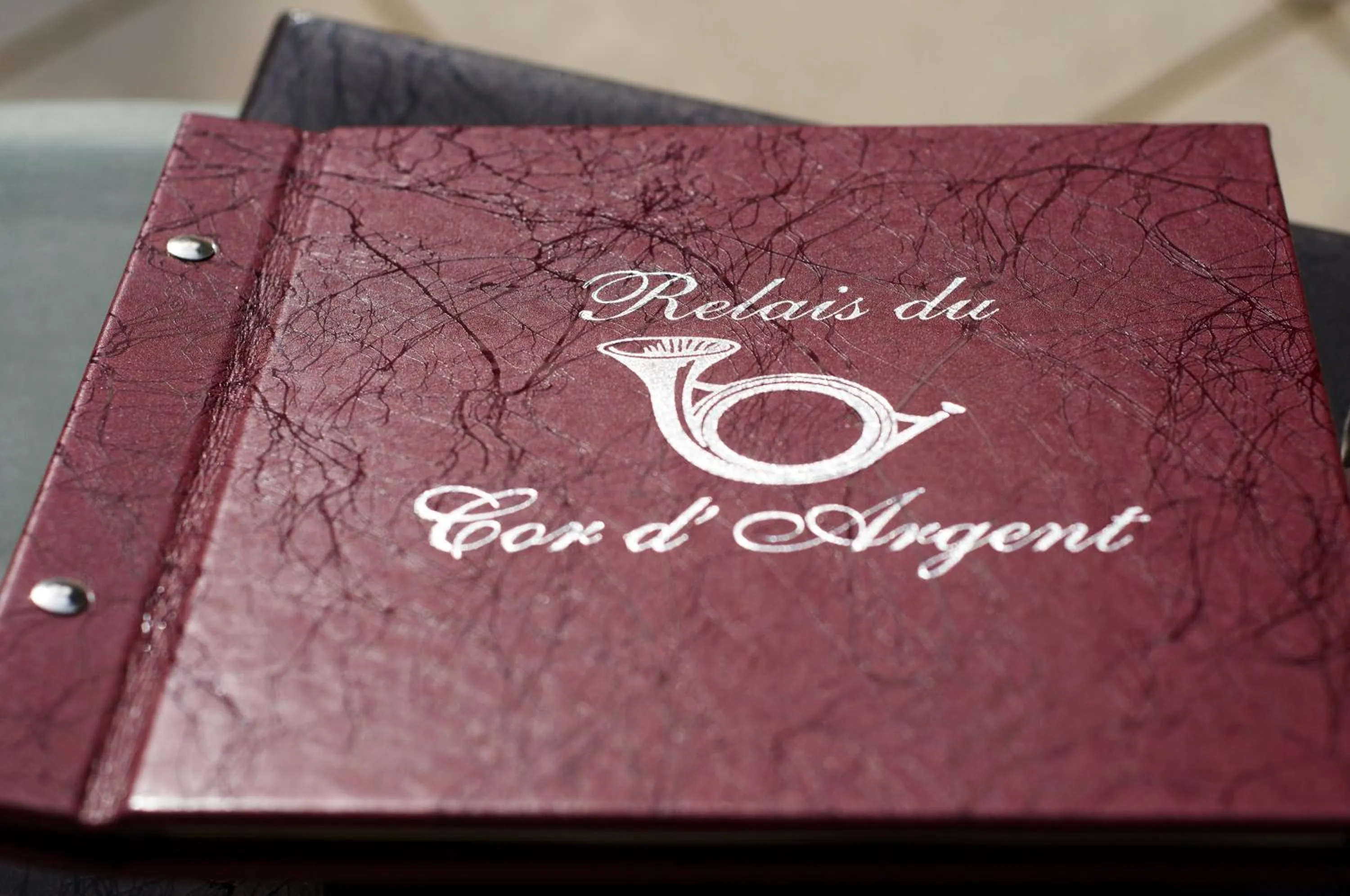 Property logo or sign in Logis hôtel LE COR D'ARGENT