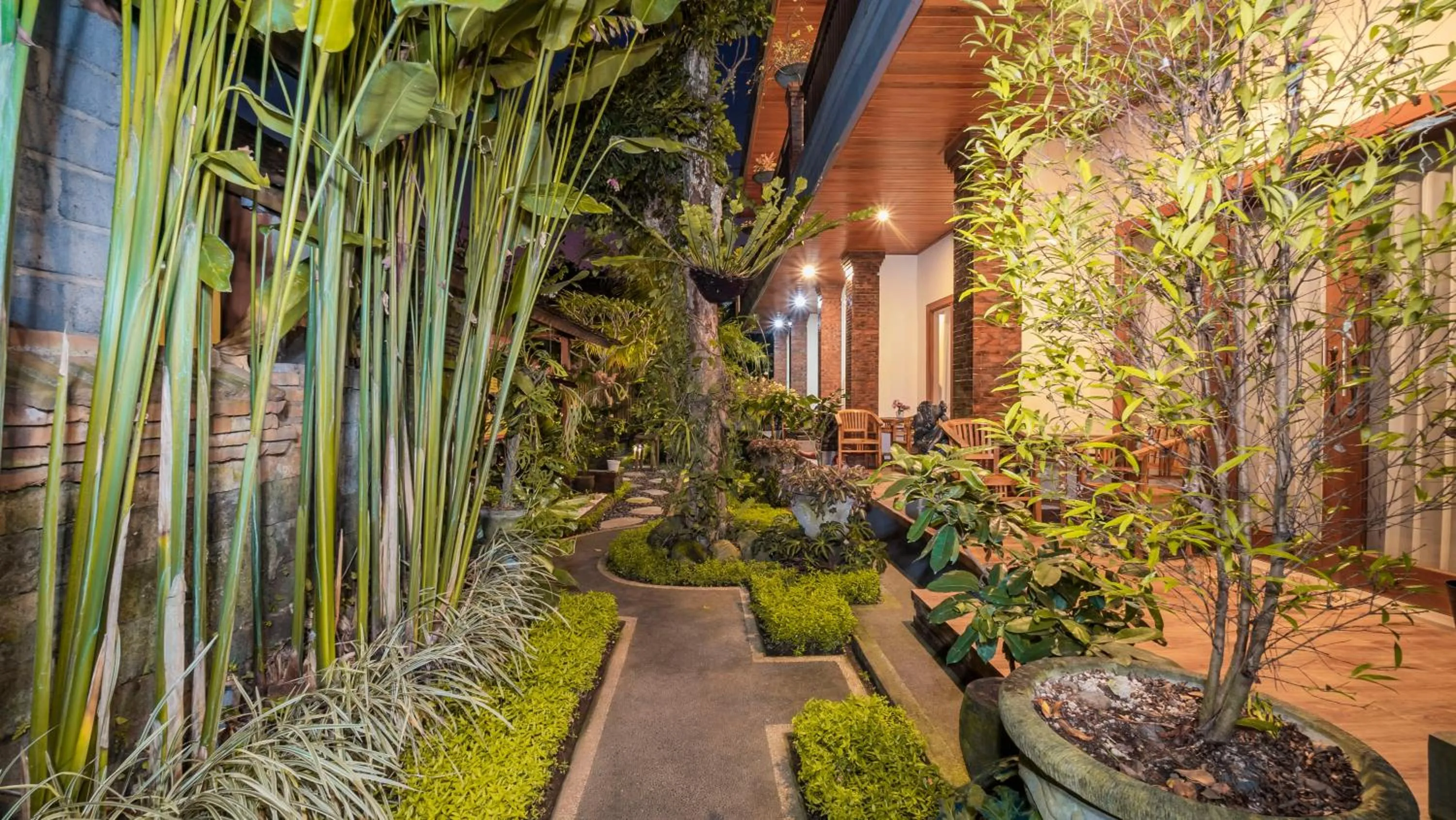 Garden in Saka House