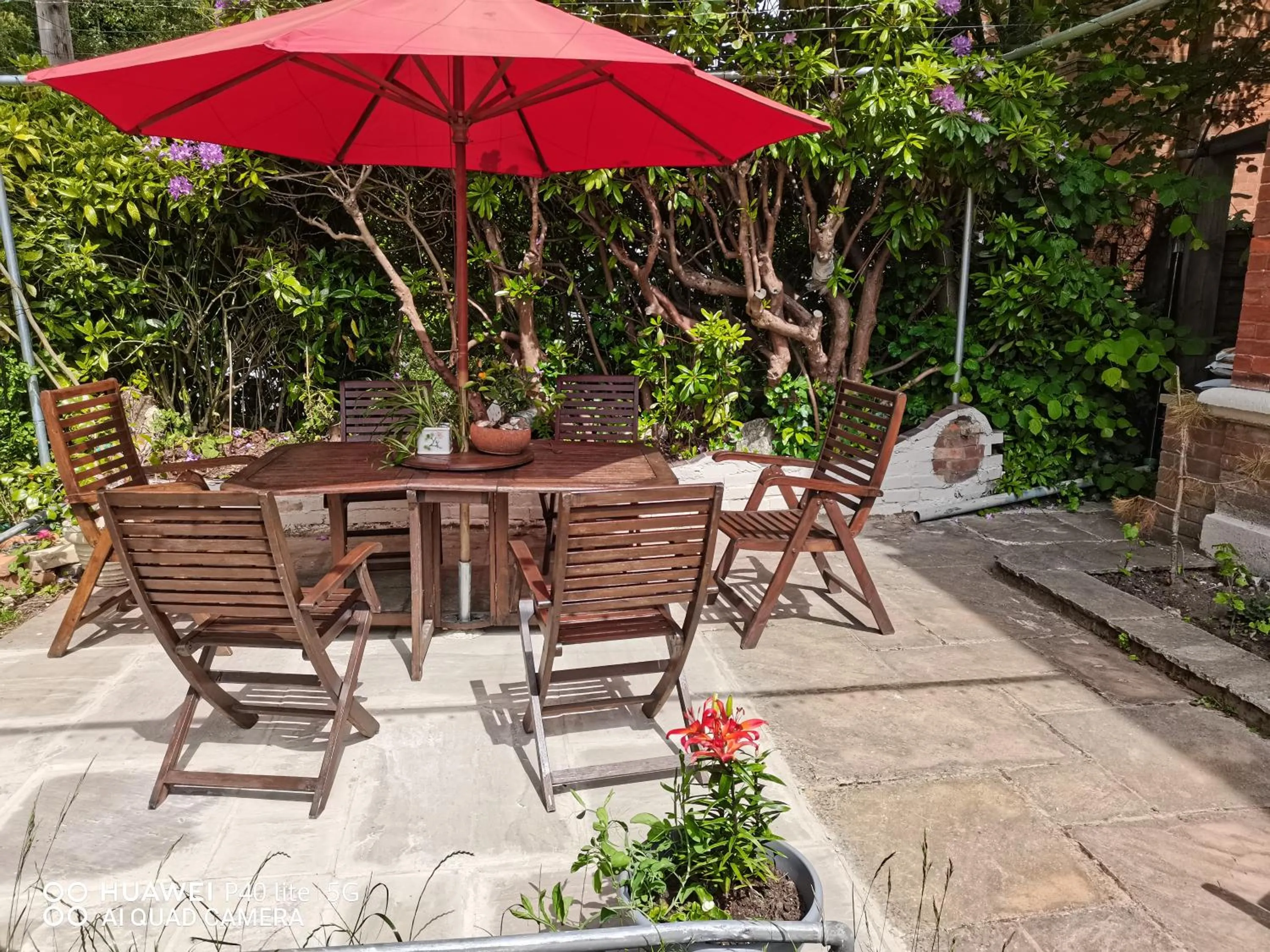 Garden in Lincoln House