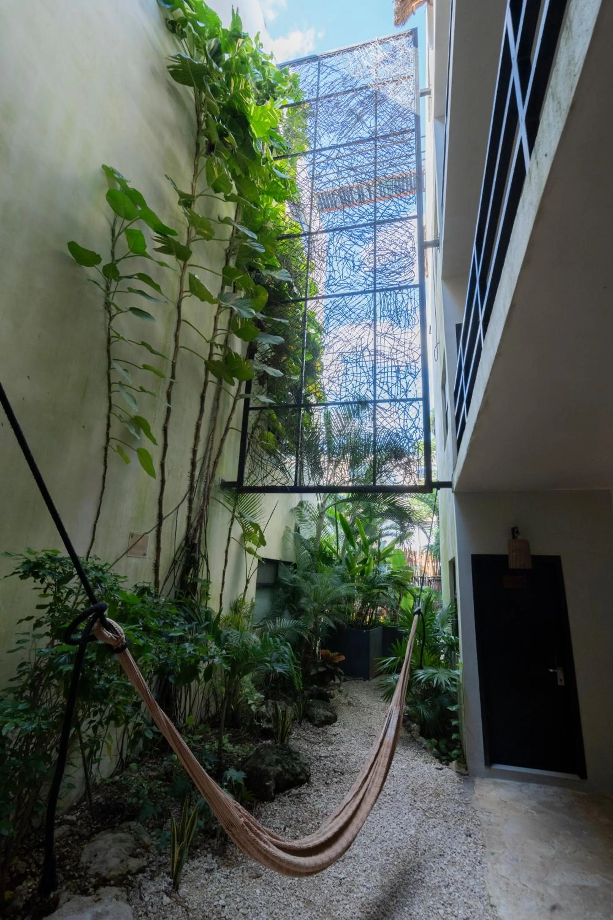 Day in Mayan Monkey Tulum - Social Hotel