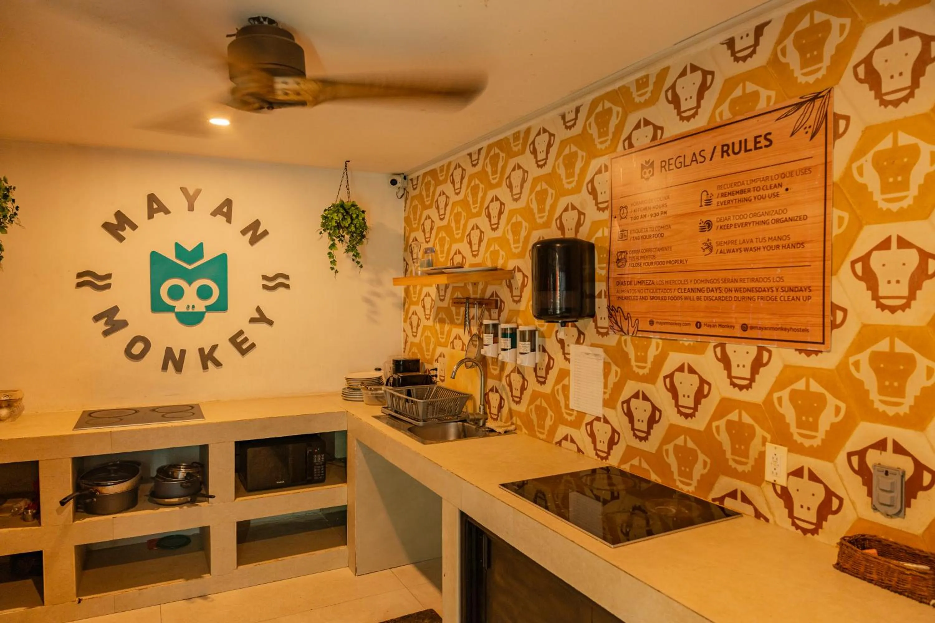 Communal kitchen in Mayan Monkey Tulum - Social Hotel
