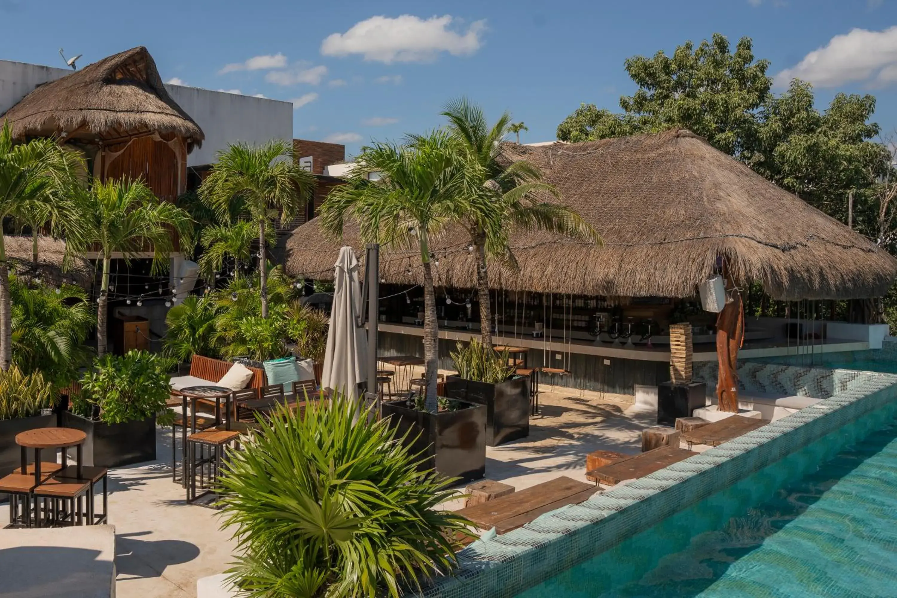 Lounge or bar in Mayan Monkey Tulum - Social Hotel Lounge or bar in Mayan Monkey Tulum - Social Hotel