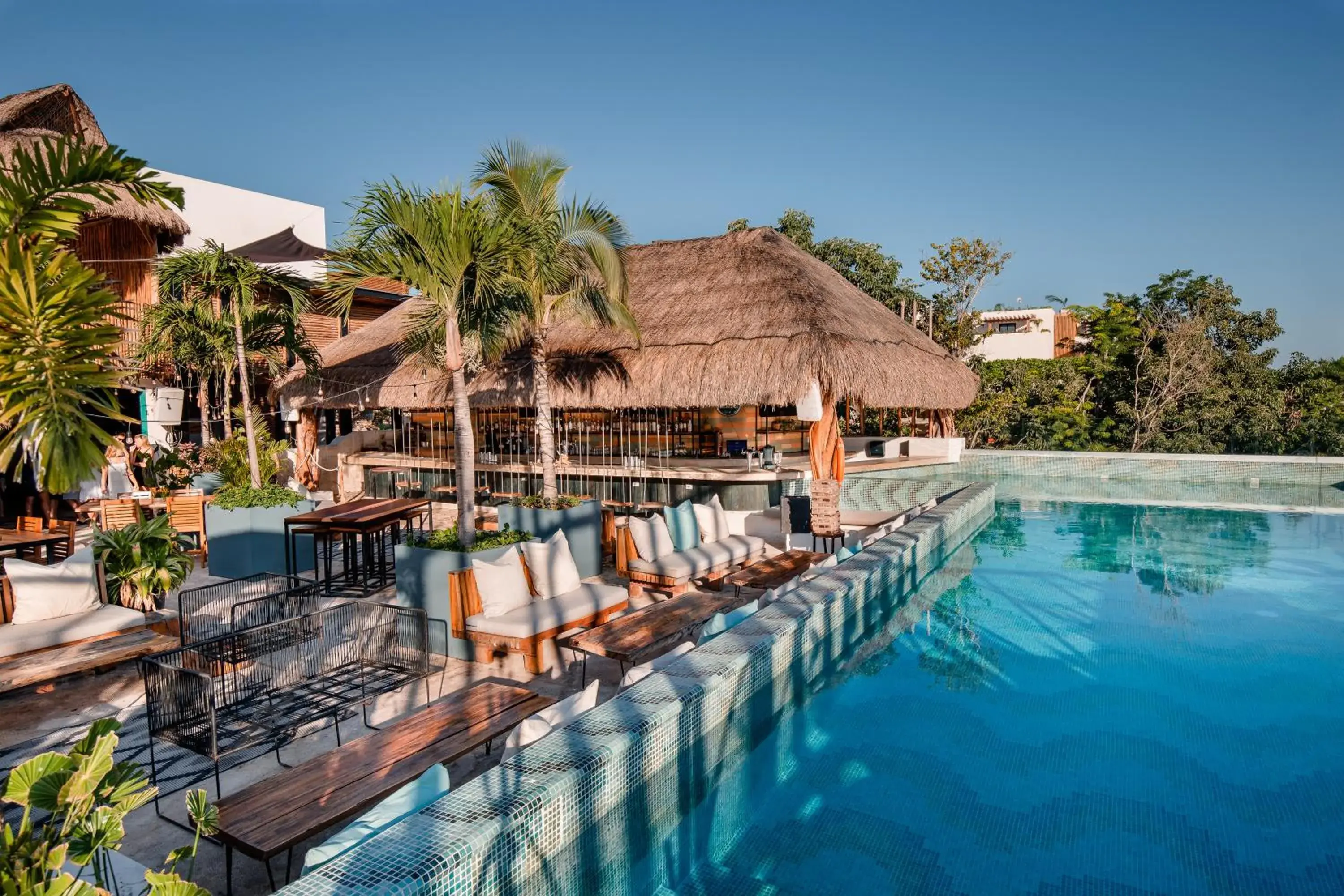 Pool view in Mayan Monkey Tulum - Social Hotel Pool view in Mayan Monkey Tulum - Social Hotel