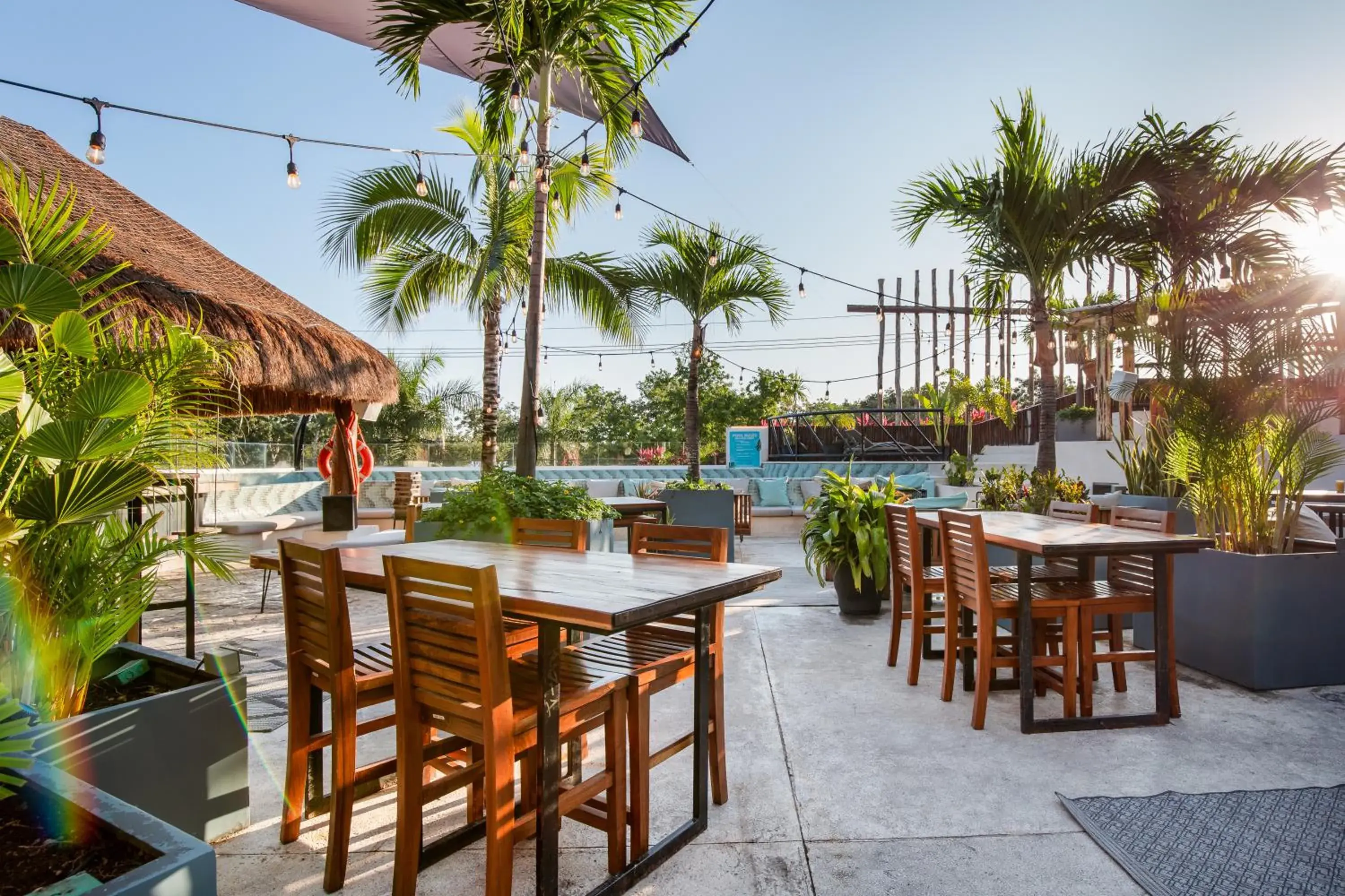 Restaurant/places to eat in Mayan Monkey Tulum - Social Hotel Restaurant/places to eat in Mayan Monkey Tulum - Social Hotel