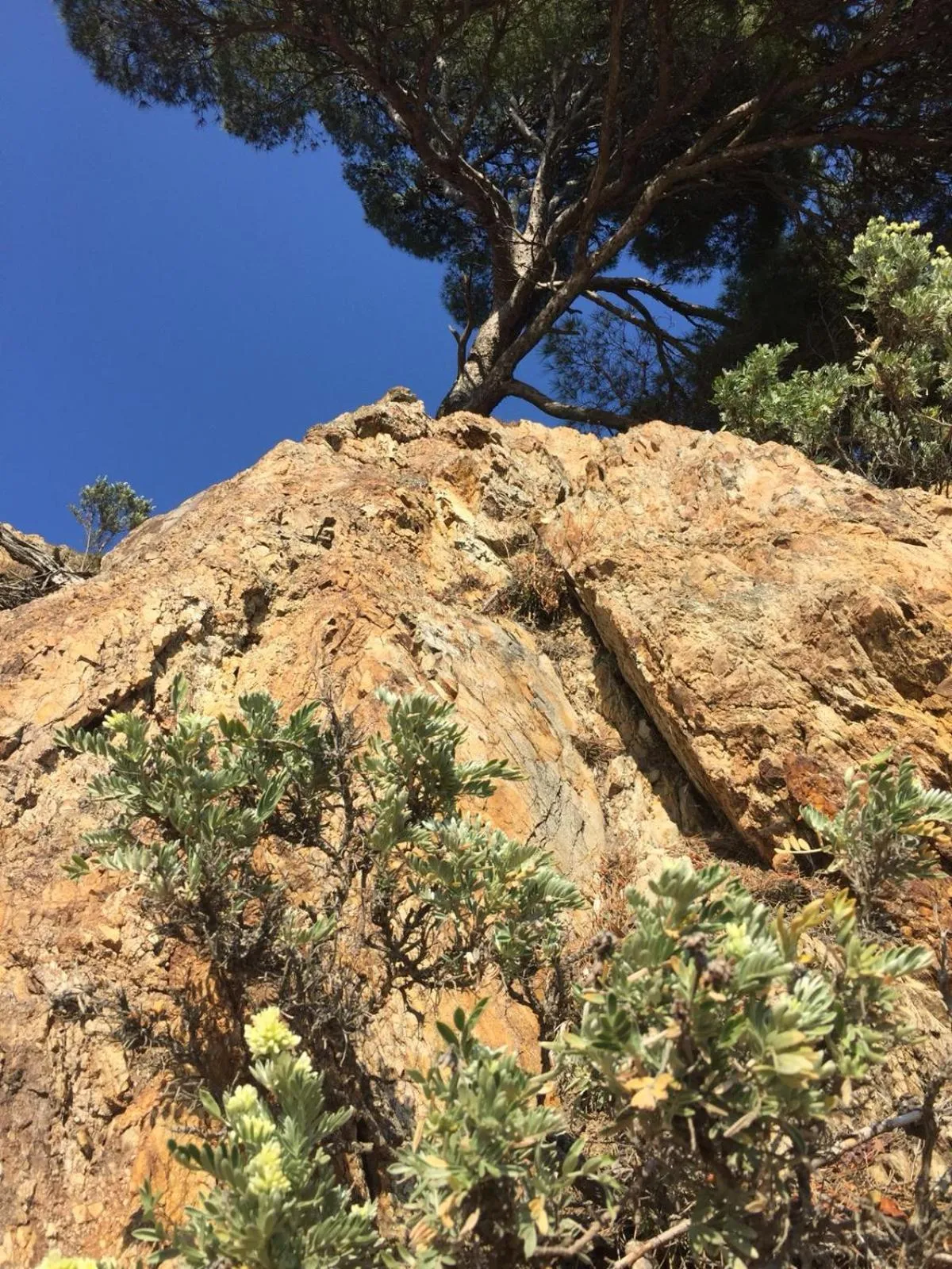 Natural landscape in Grand Hotel Moriaz