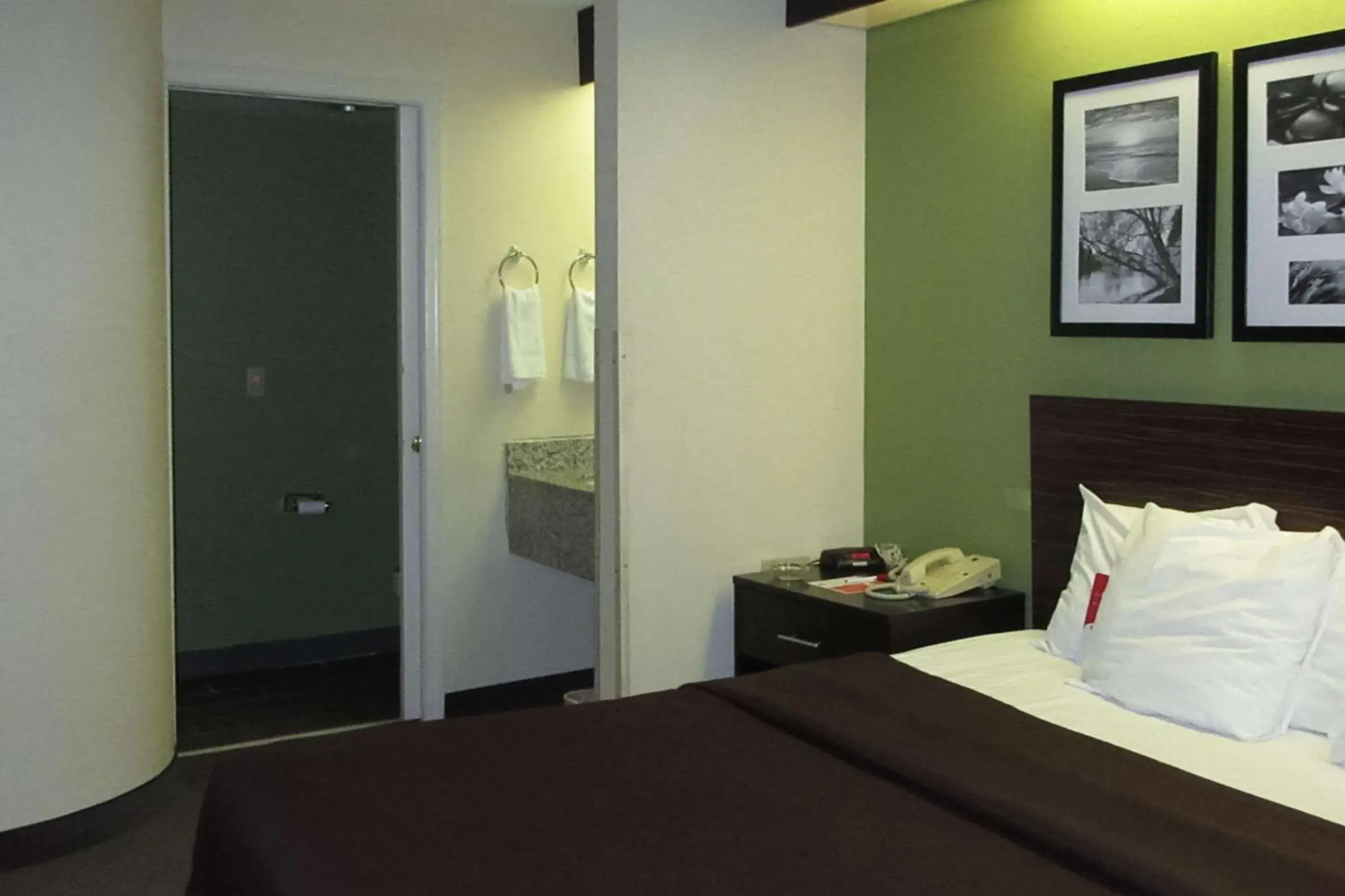 Photo of the whole room, Bed in Rodeway Inn Albany South Photo of the whole room, Bed in Rodeway Inn Albany South