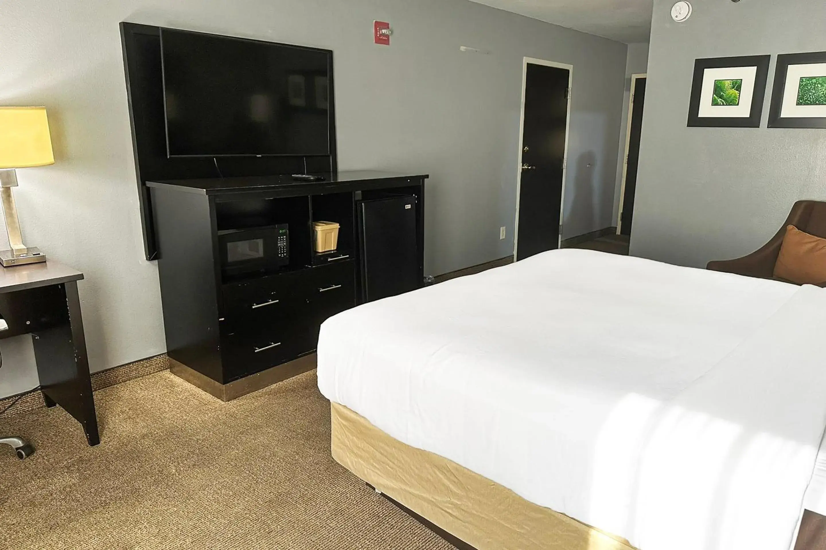 Bedroom, Bed in OYO Hotel Rome West GA Bedroom, Bed in OYO Hotel Rome West GA